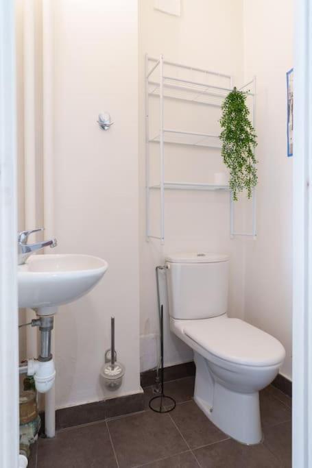 Apartment Le Sorbier By Apirent #wifi #climatisation #lumineux *