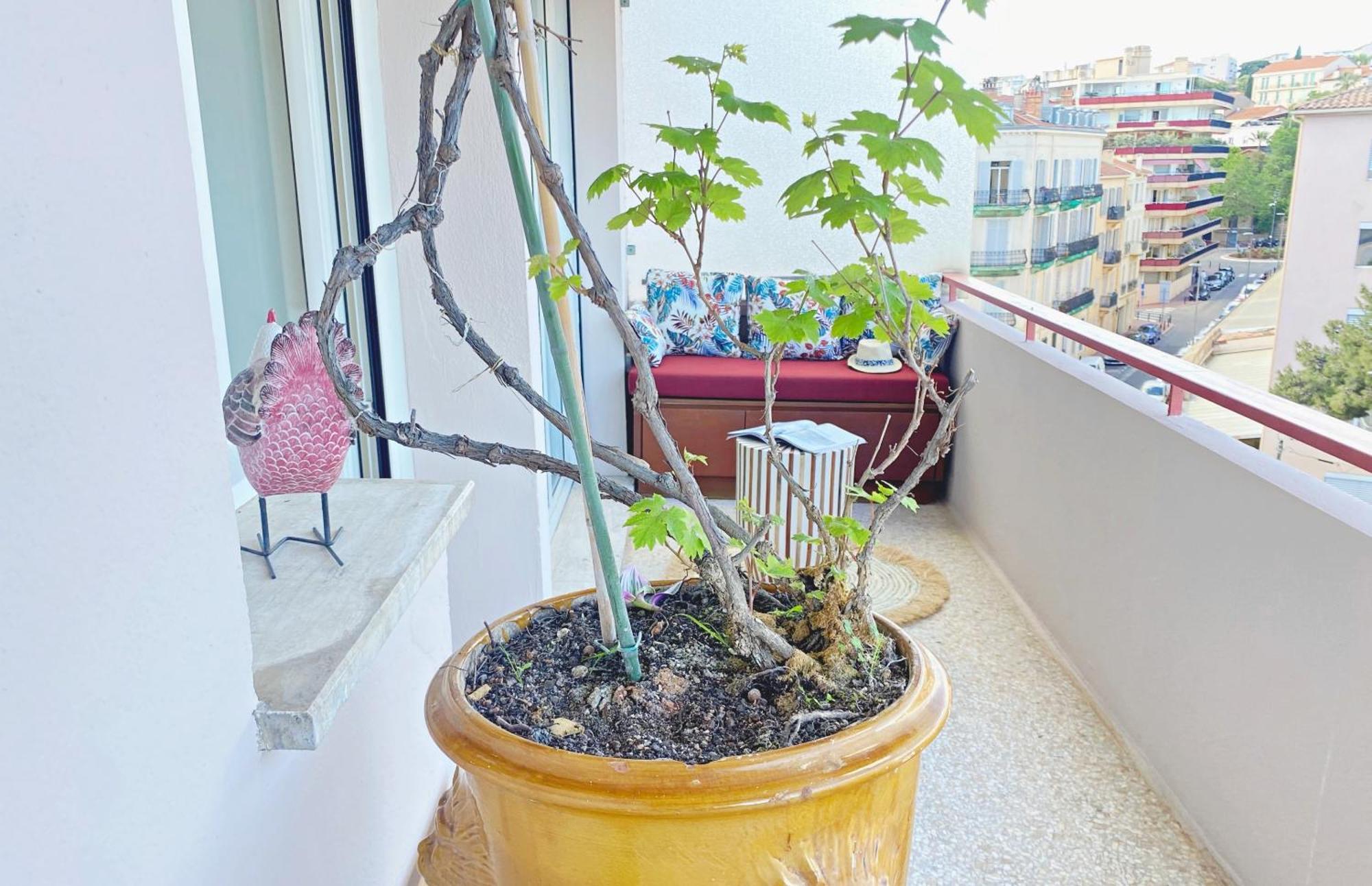 Apartment Le Charme De