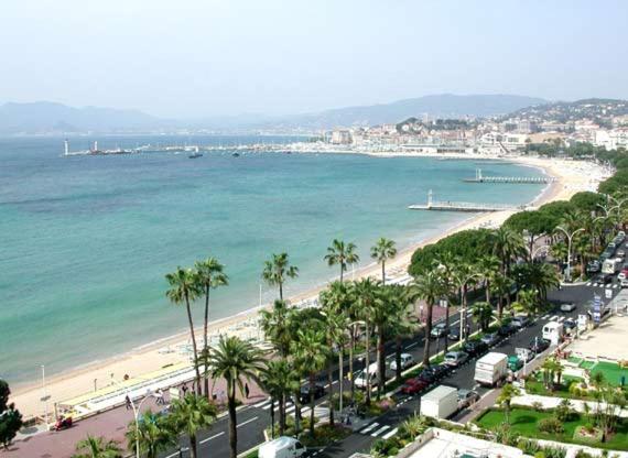 Charming 50 Mt Palais Des Festivals Cannes