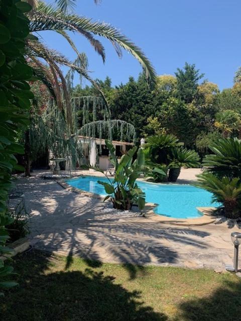Piscine Proche Centre Cannes