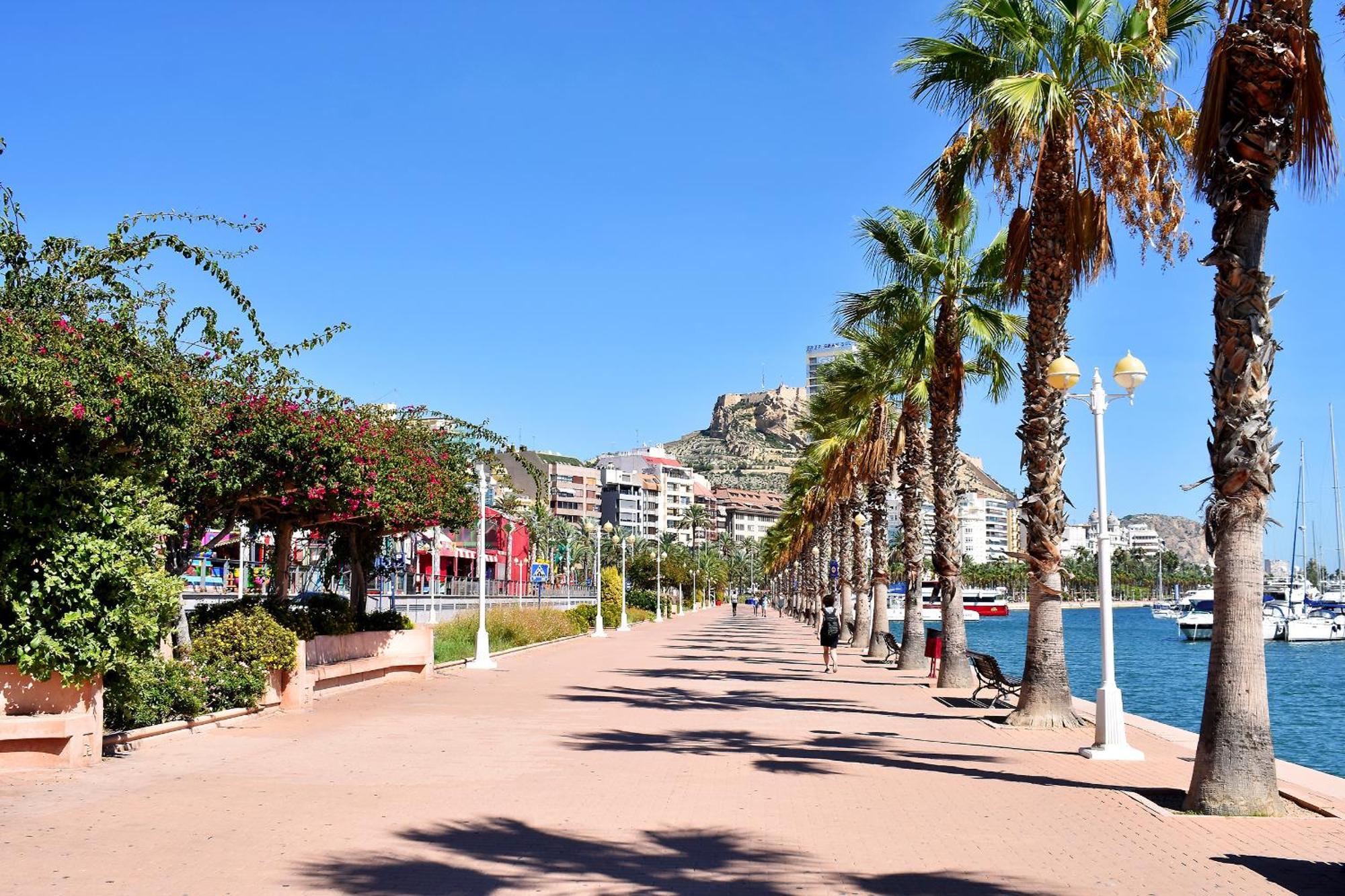 Apartment Le Phenicien Cannes, Antibes Street, Modern, City Center
