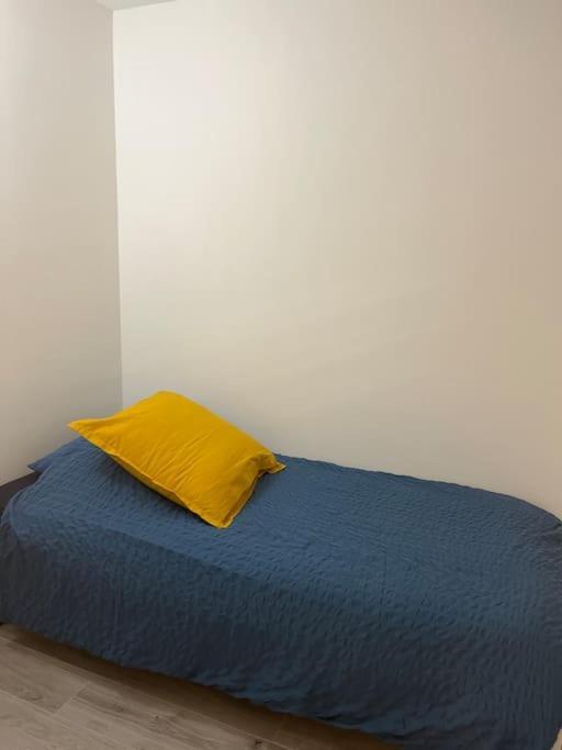 2 Pieces De 29 M2 Appartement Cannes