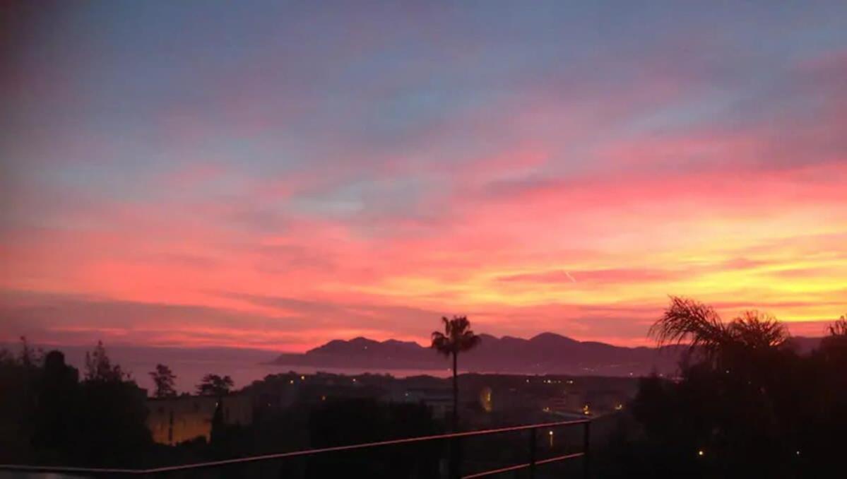 B002 - Superbe Avec Vue Et Piscine Appartement Cannes