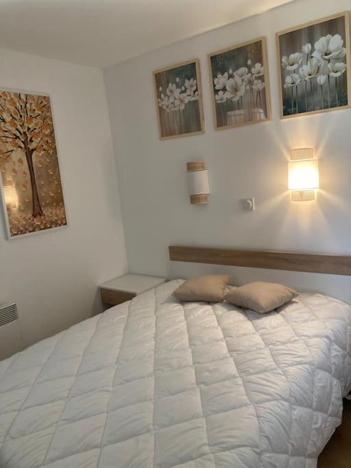 Appt Climatise 5 Pers / 9 L Cannes
