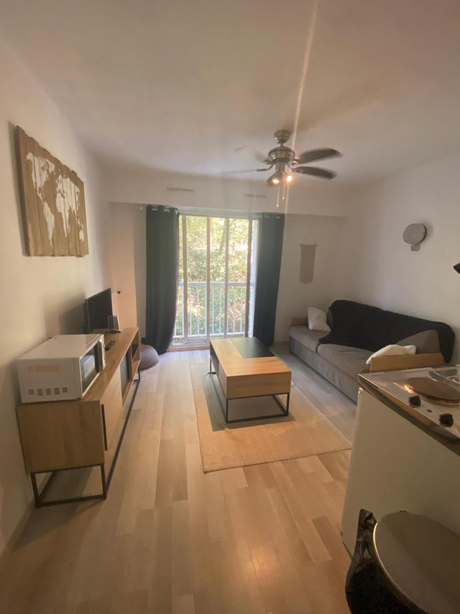Studio A Apartment Cannes