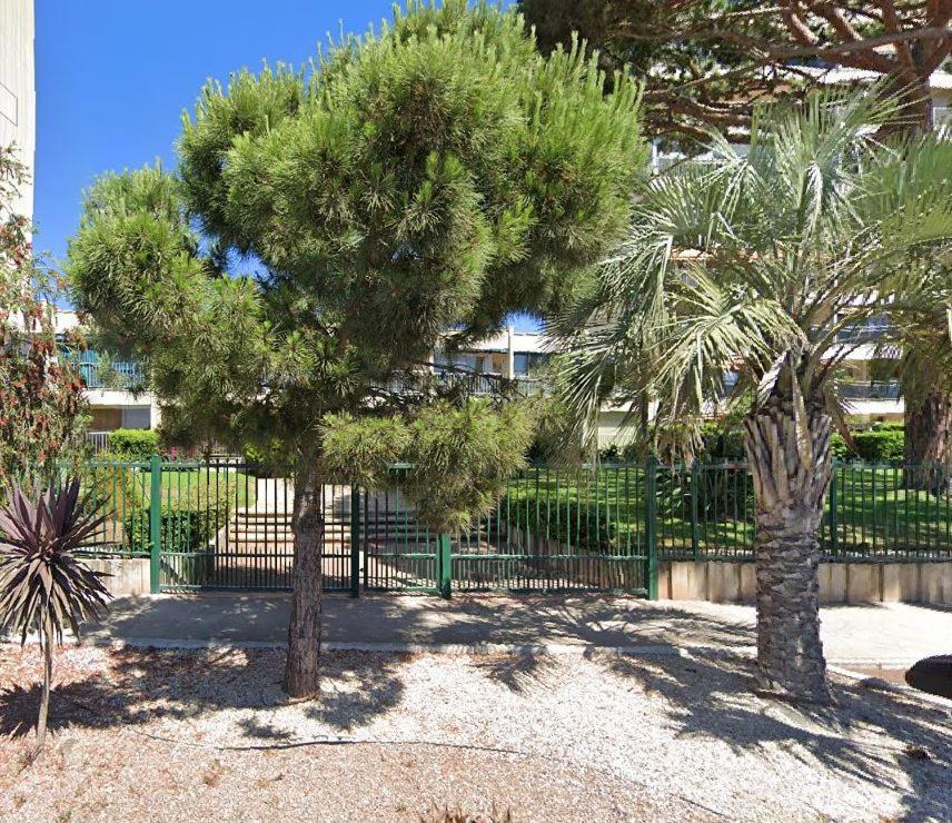 Bord De Mer, Midi, Acces Direct A La Apartment Cannes