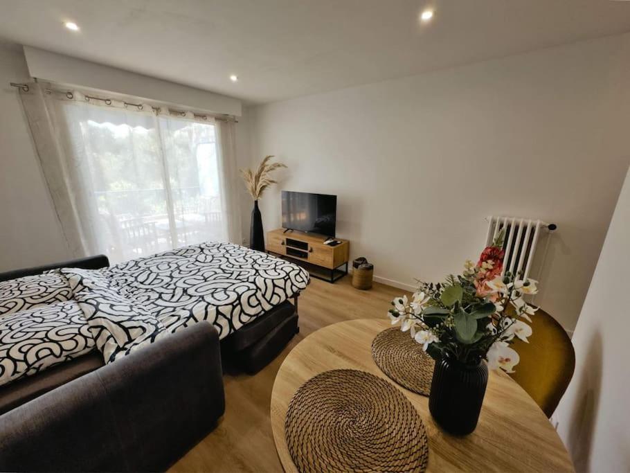 Picaud Proche Front Apartment Cannes