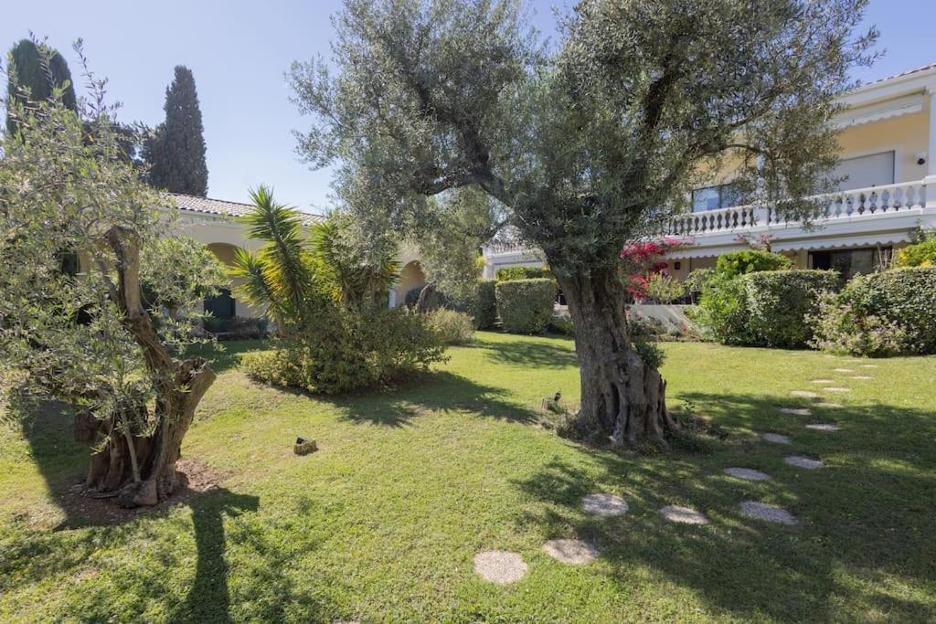 Apartamento Adorable 2p Avec Piscine *