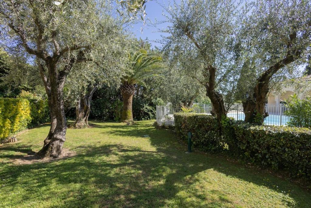 Apartamento Adorable 2p Avec Piscine Cannes