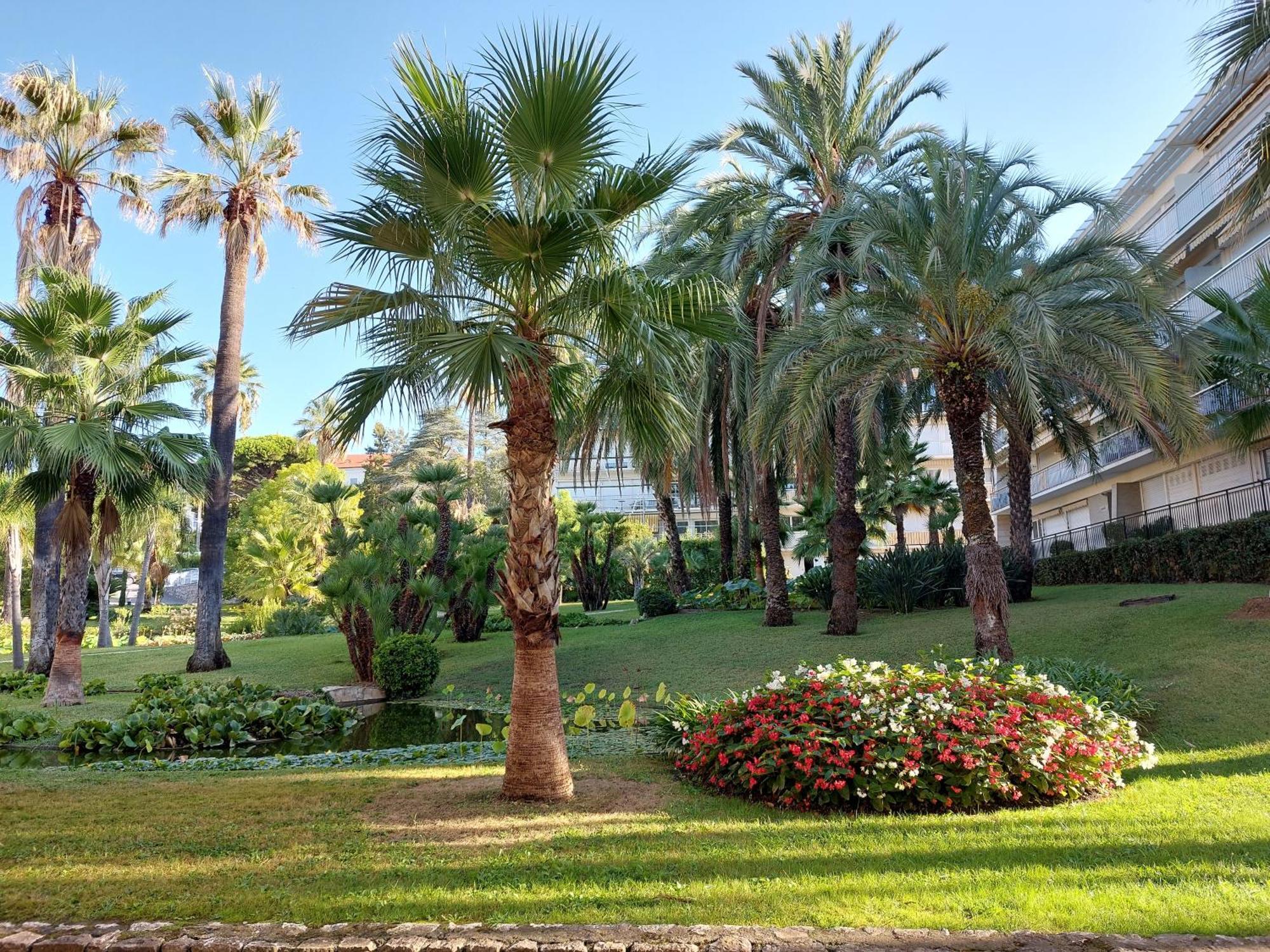 Apartment Montrose - Axelle Loc'appart *