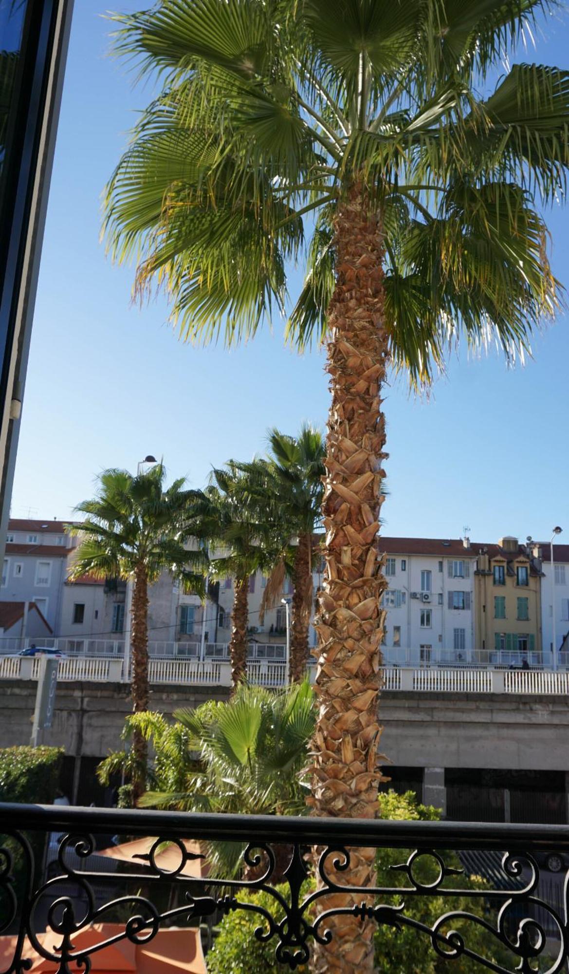 Pruly Centre Cannes