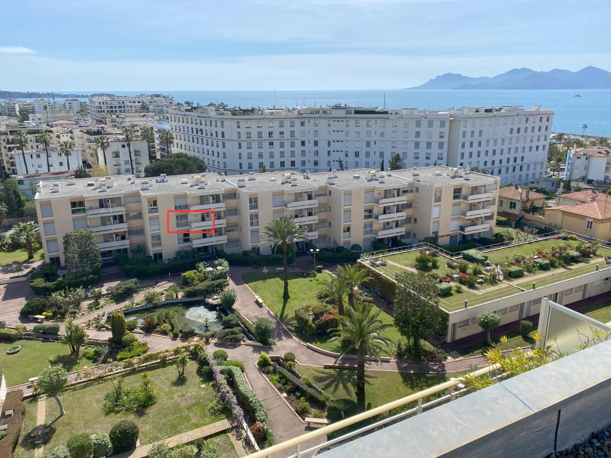 Mimosa Croisette * Cannes