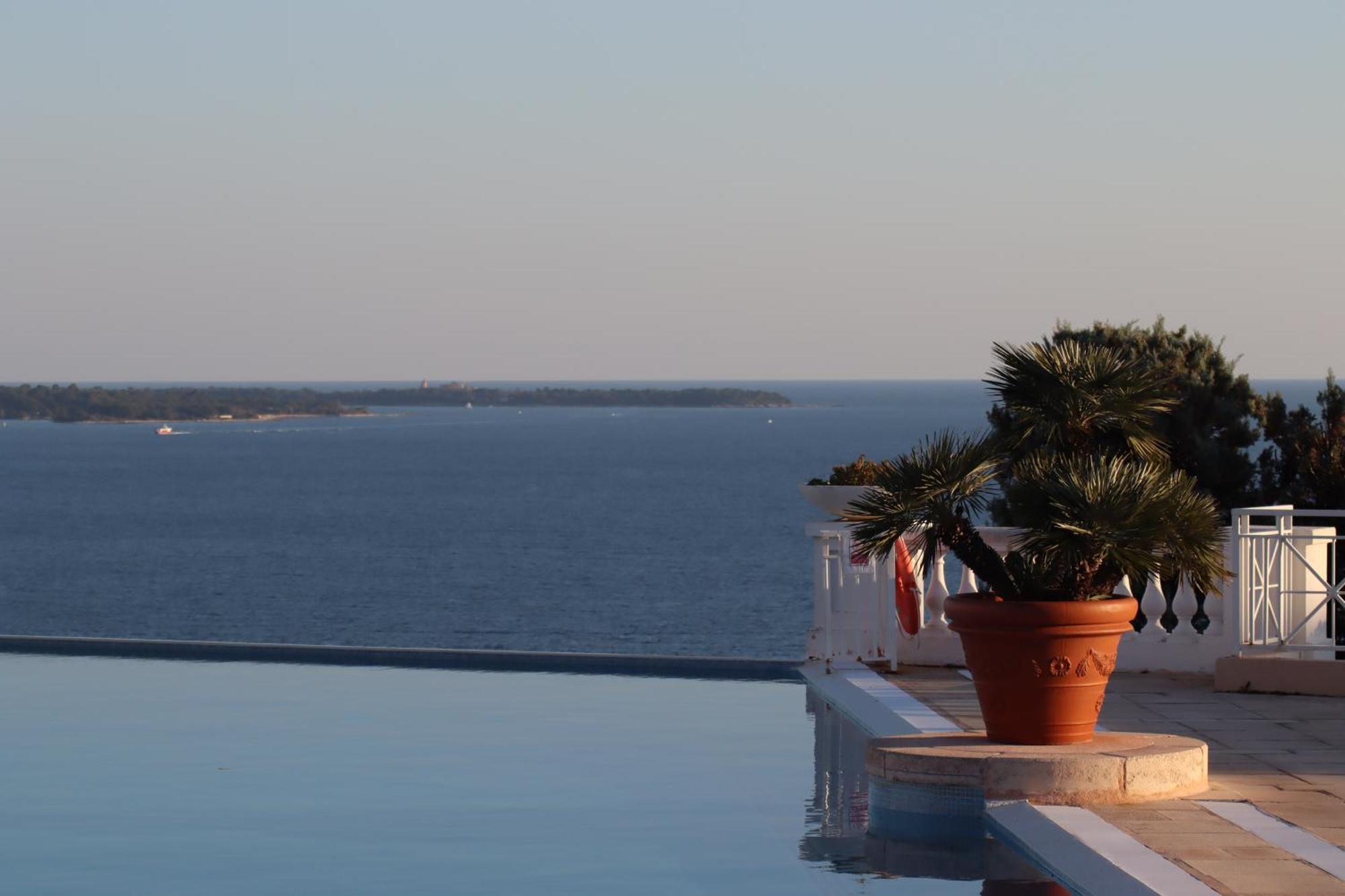 Cocon Cannois Cannes