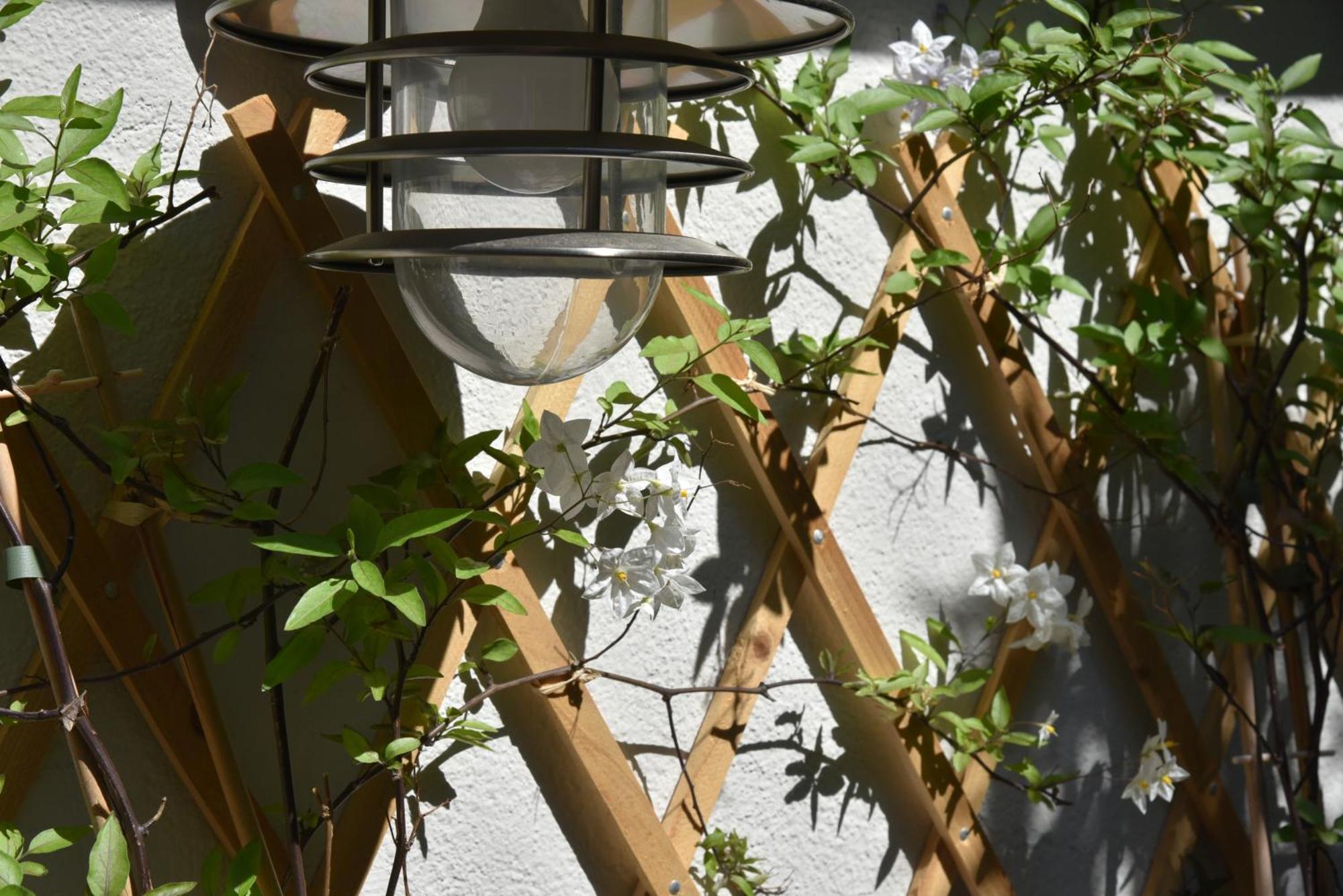 Terra By Festif Azur - House 250m2 Quiet, 5 Min Walk From Palais Des Festivals And Beaches