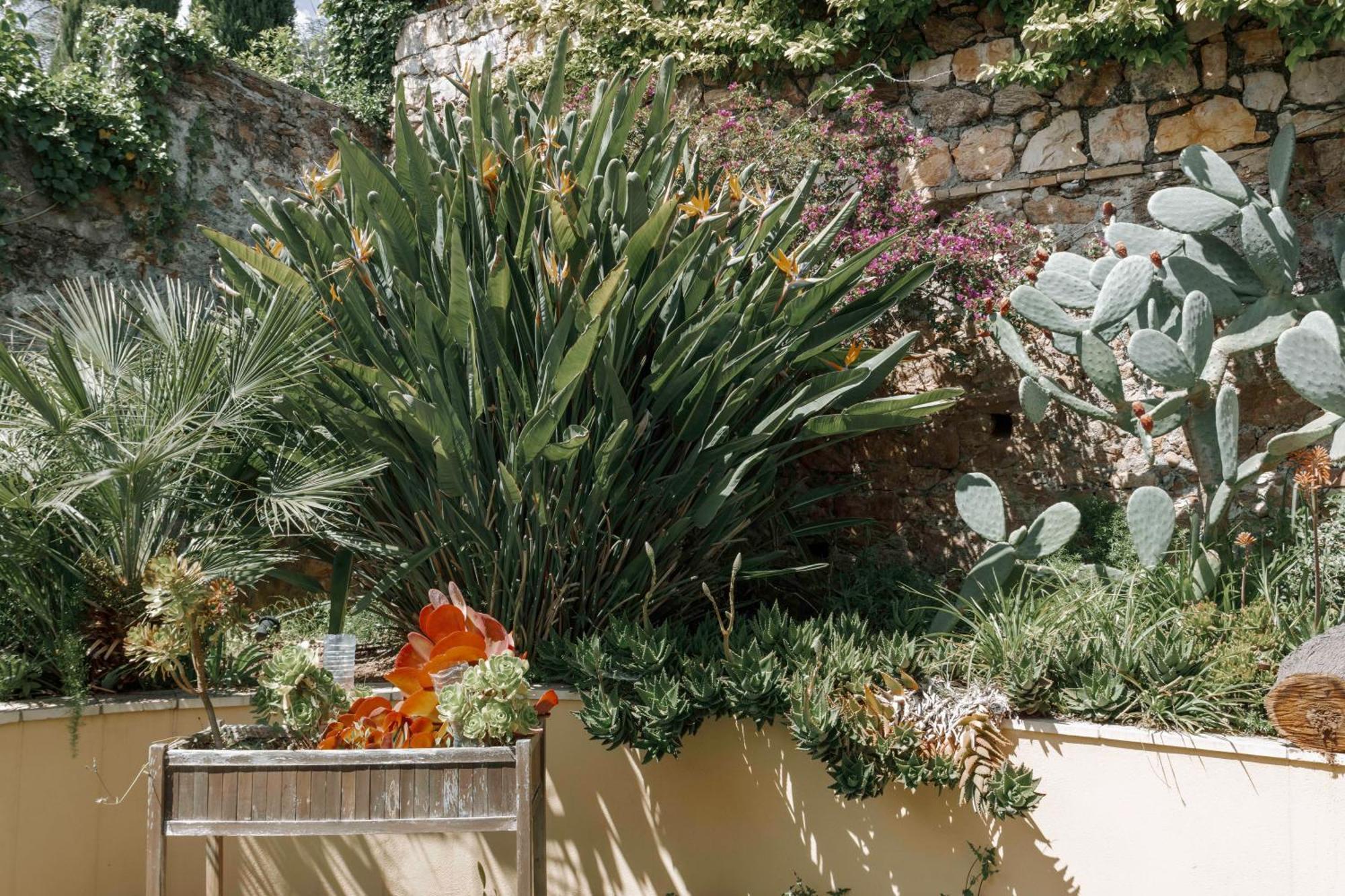 Villa Cynthia - Piscine -