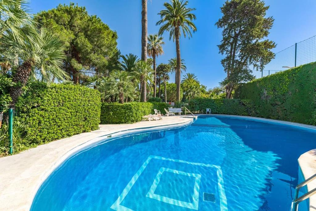 Superbe Bord De Avec Terrasse & Piscine