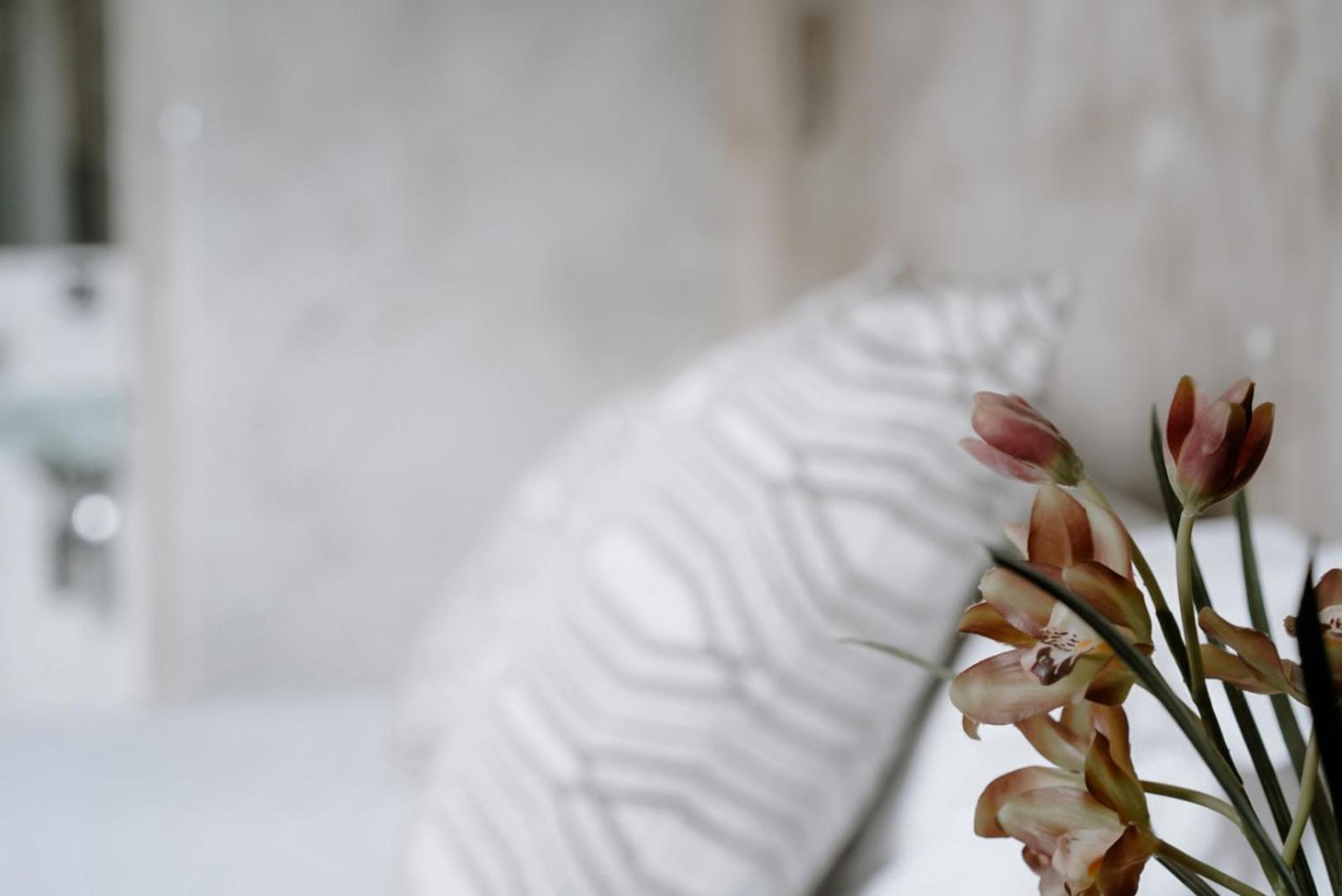 Ideal Sejour - Stylish Boutique With Quiet Garden Cannes