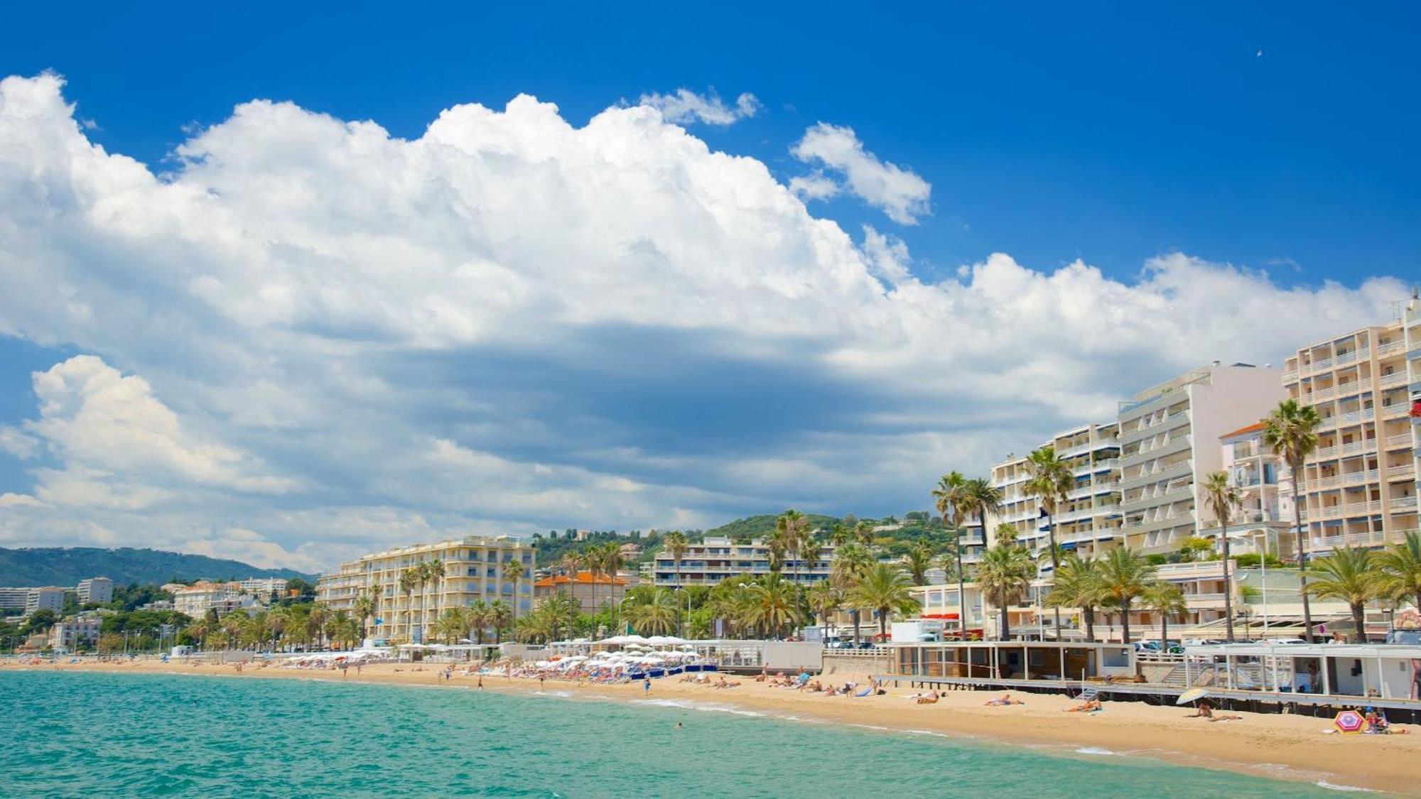 Luxurious Apt - Beach - Palais Des Festivals 2 Min Apartment *