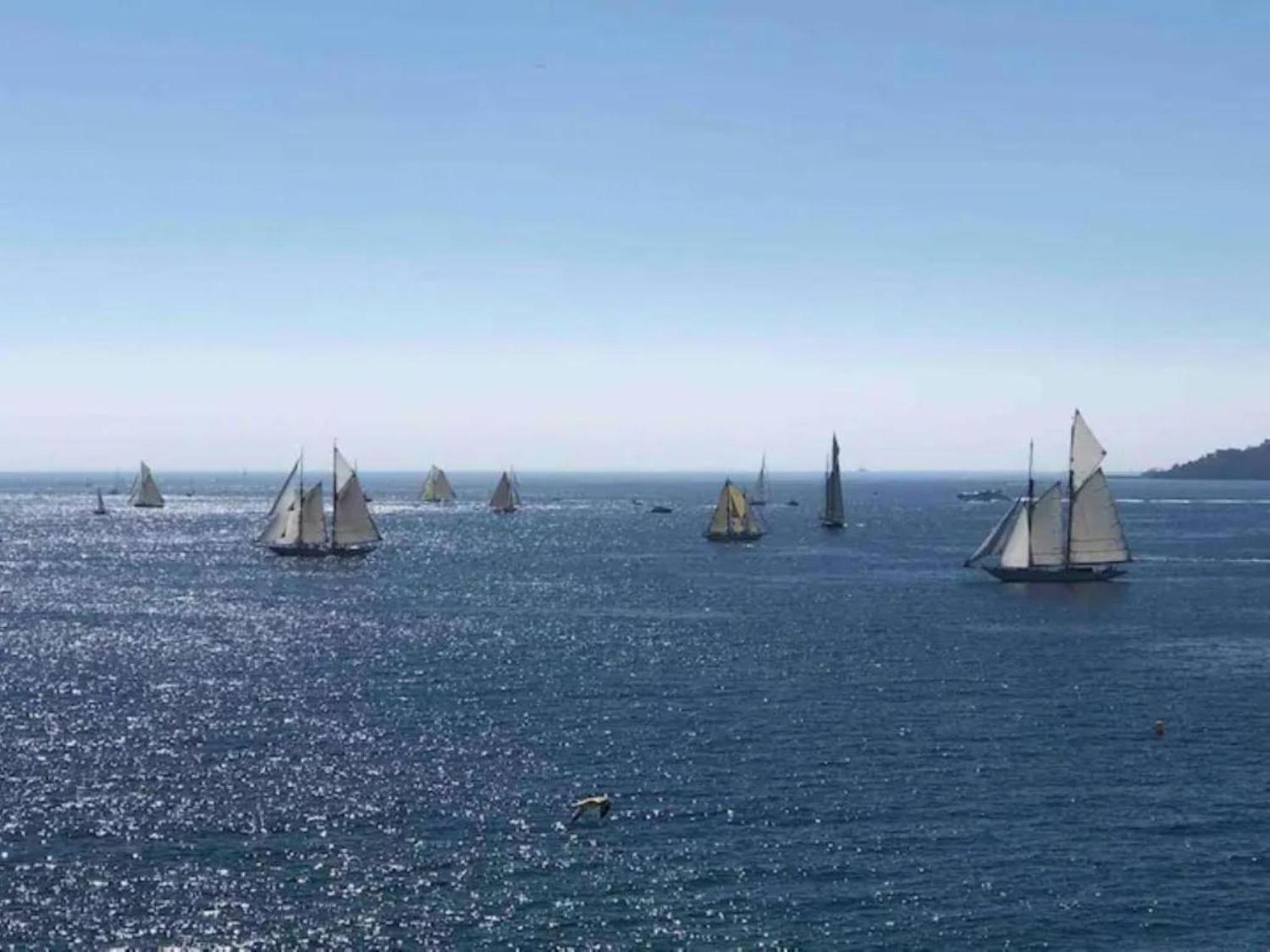 La Palme D'azur - *