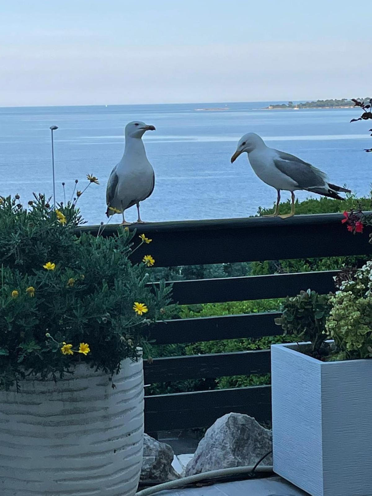 Holiday home Eden Sea Cannes