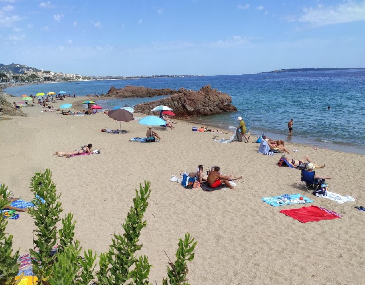 Agreable D'hote A 50m De La Homestay Cannes