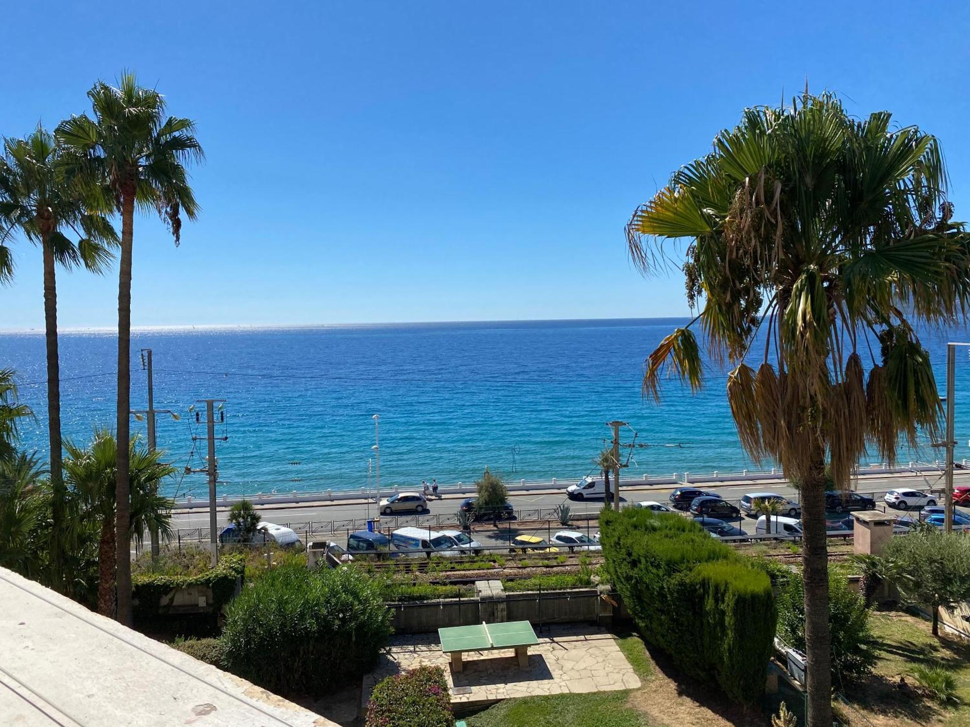 La Palme D'azur - Petersen App 610