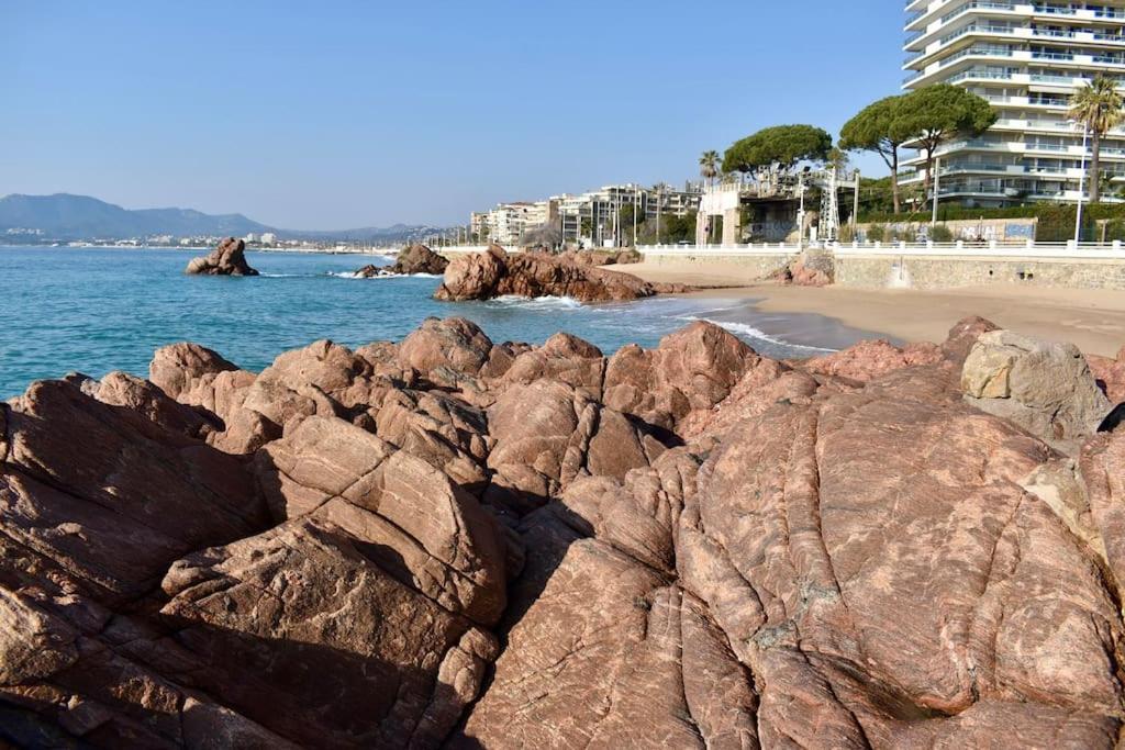 Bord De Appartement Cannes