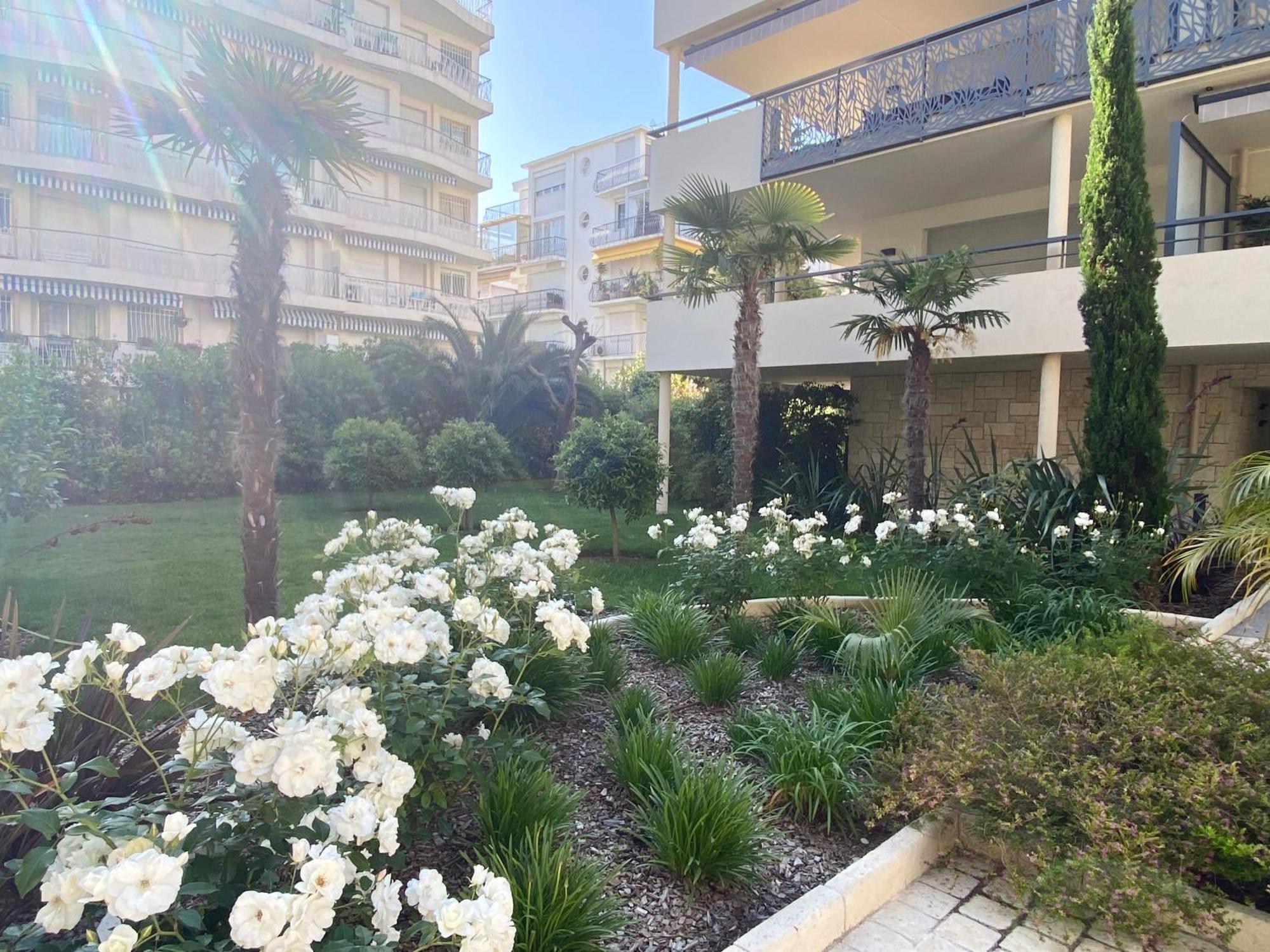Palm Proche Croisette Cannes