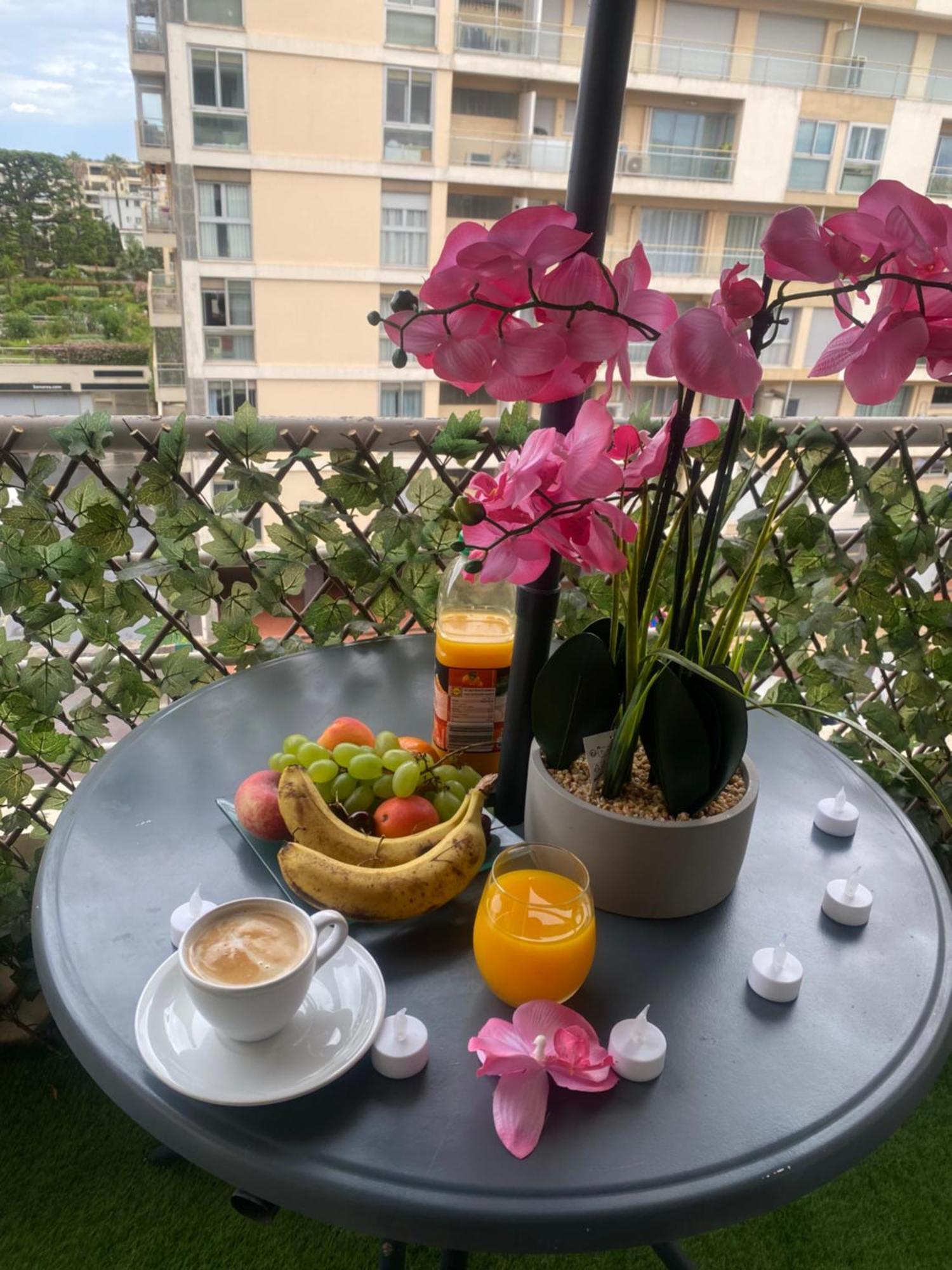 Apartment 1 Piece Pointe De La Croisette A