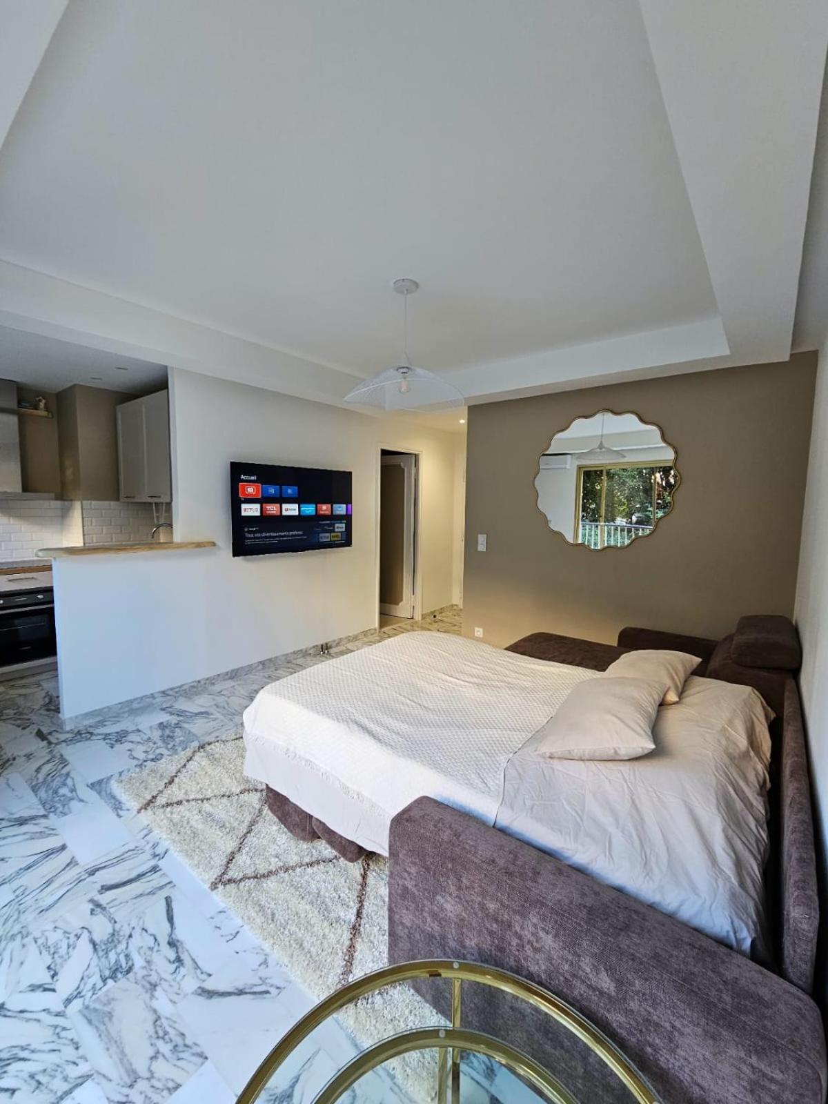Centre De Apartment Cannes