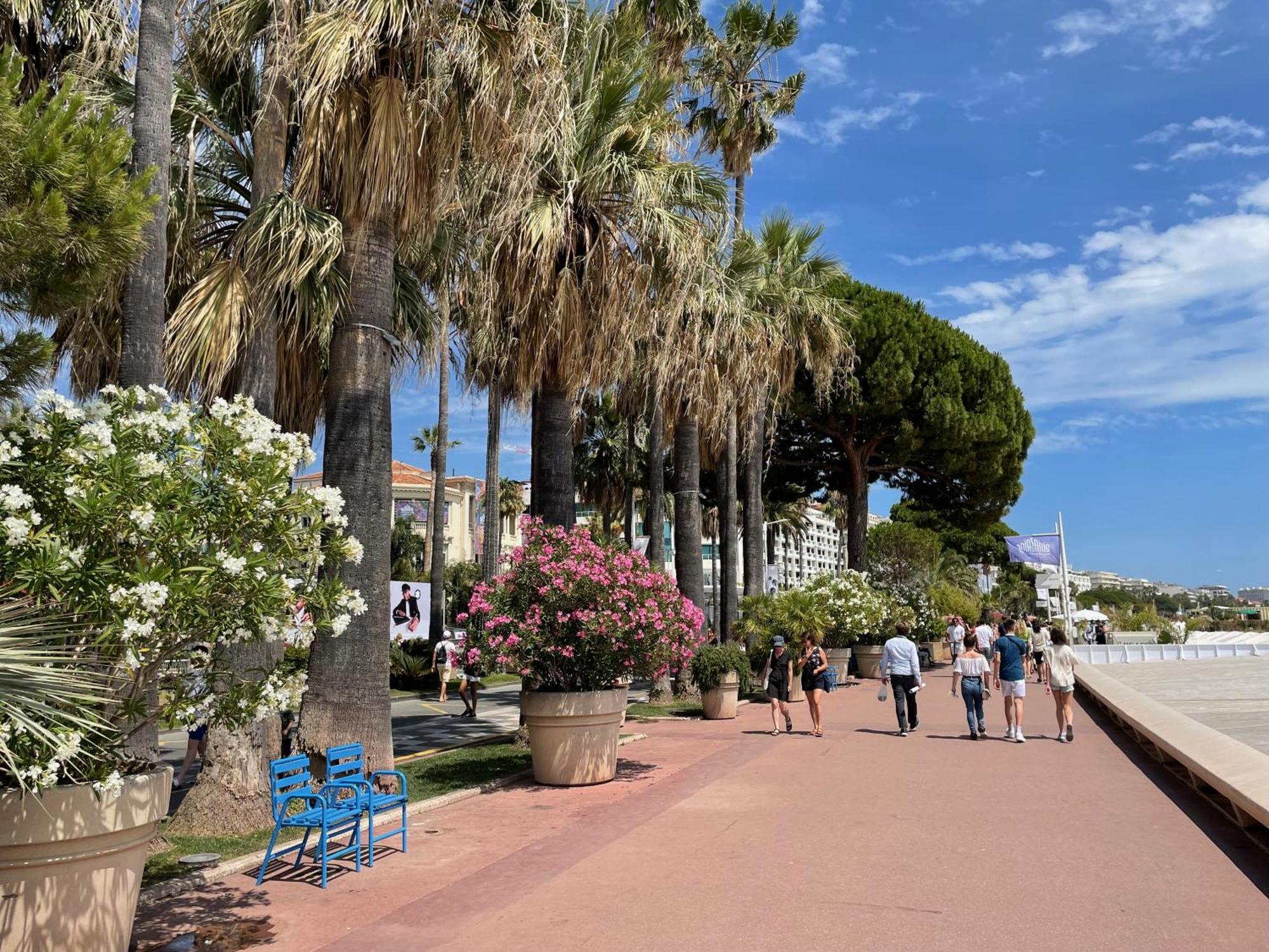Appartement Beautiful Center Terrace Parking Cannes