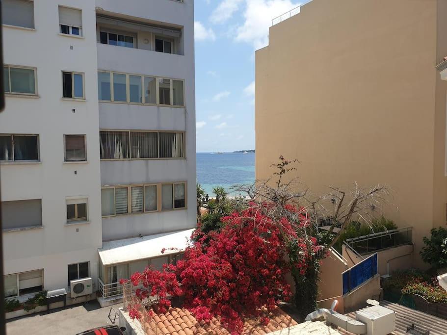 Apartment Palm Escape