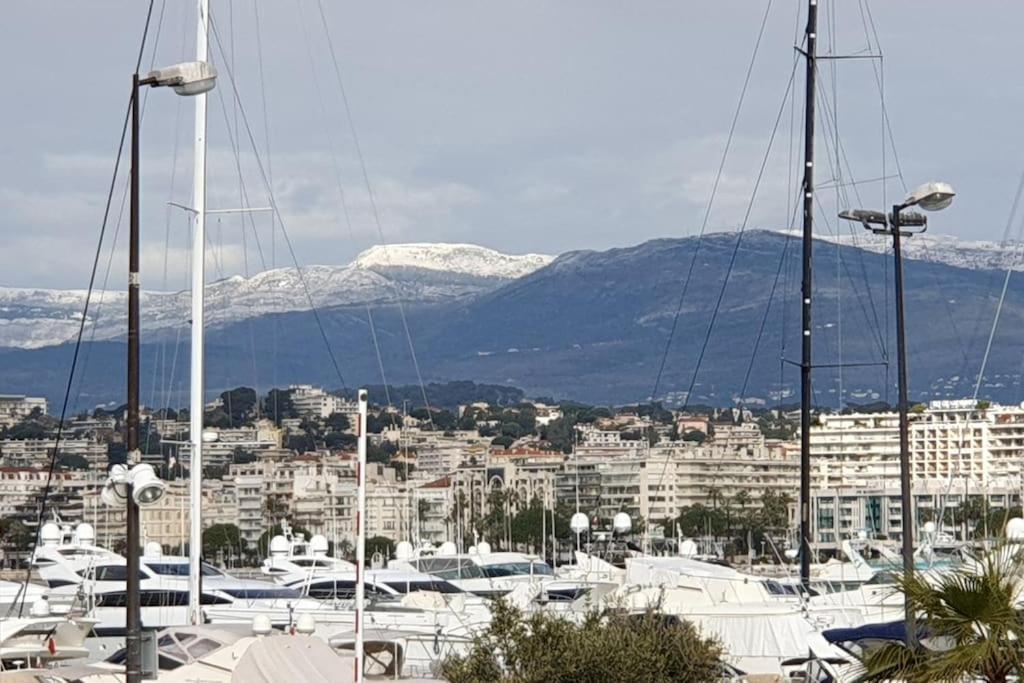 Palm Escape Apartment Cannes