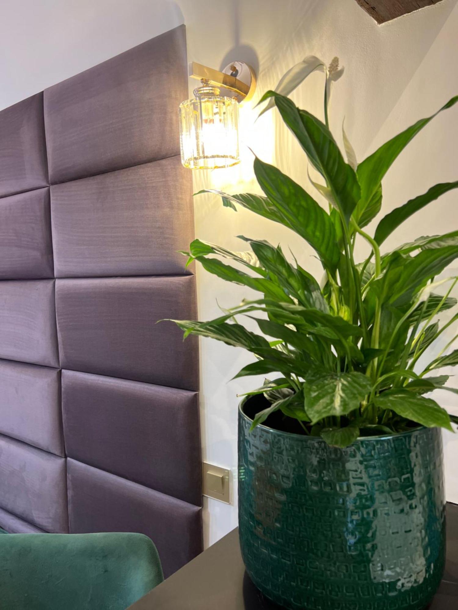 Apartment Le Petit Carlthon Cannes