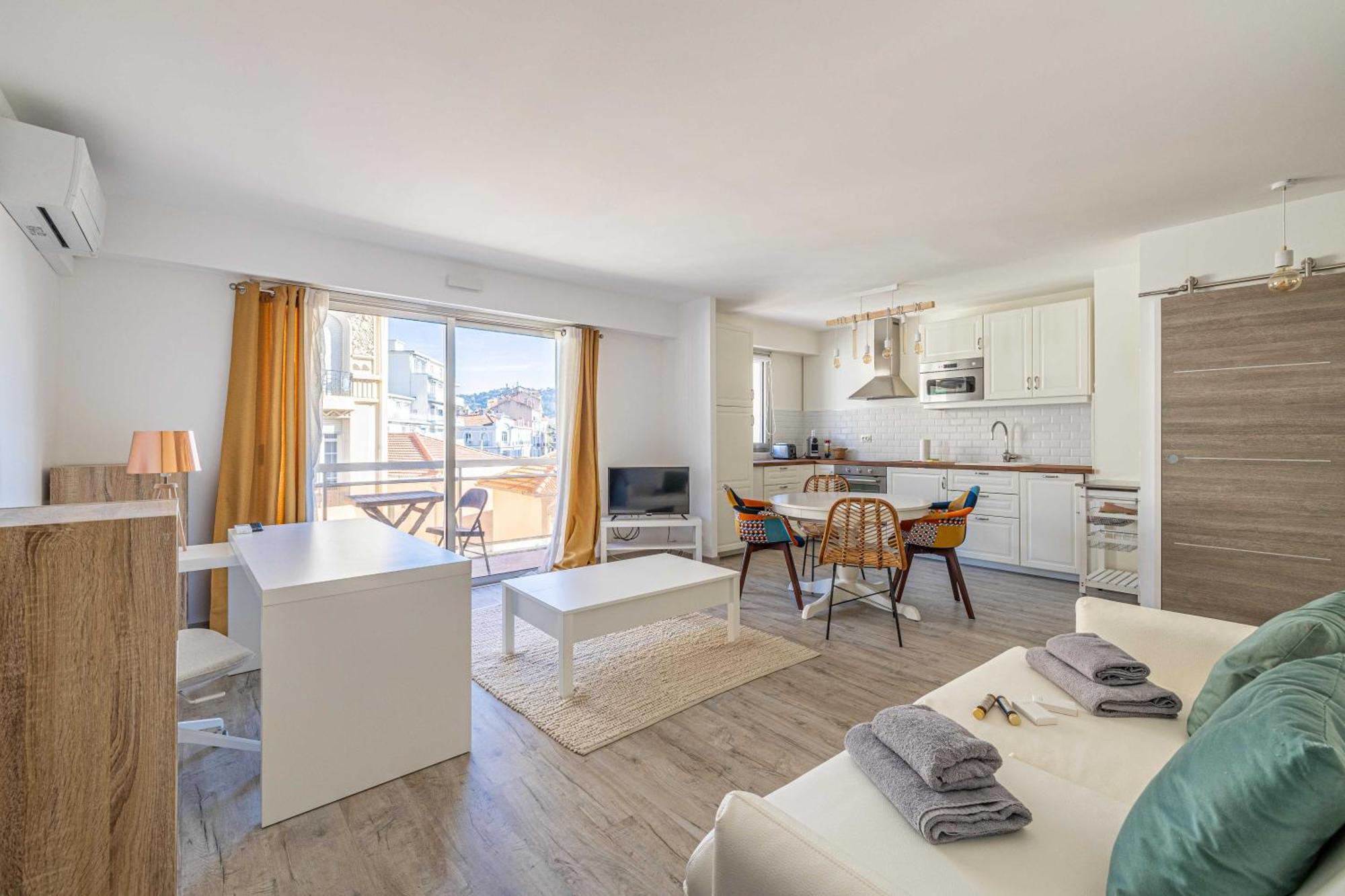 Exceptional Spacious One Bedroom Flat In Apartment Cannes