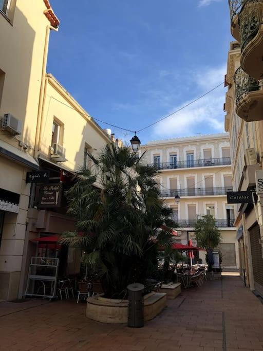 Apartment Nouveau Grand 2 Pieces Secteur Palais Croisette Rue Hoche Cannes