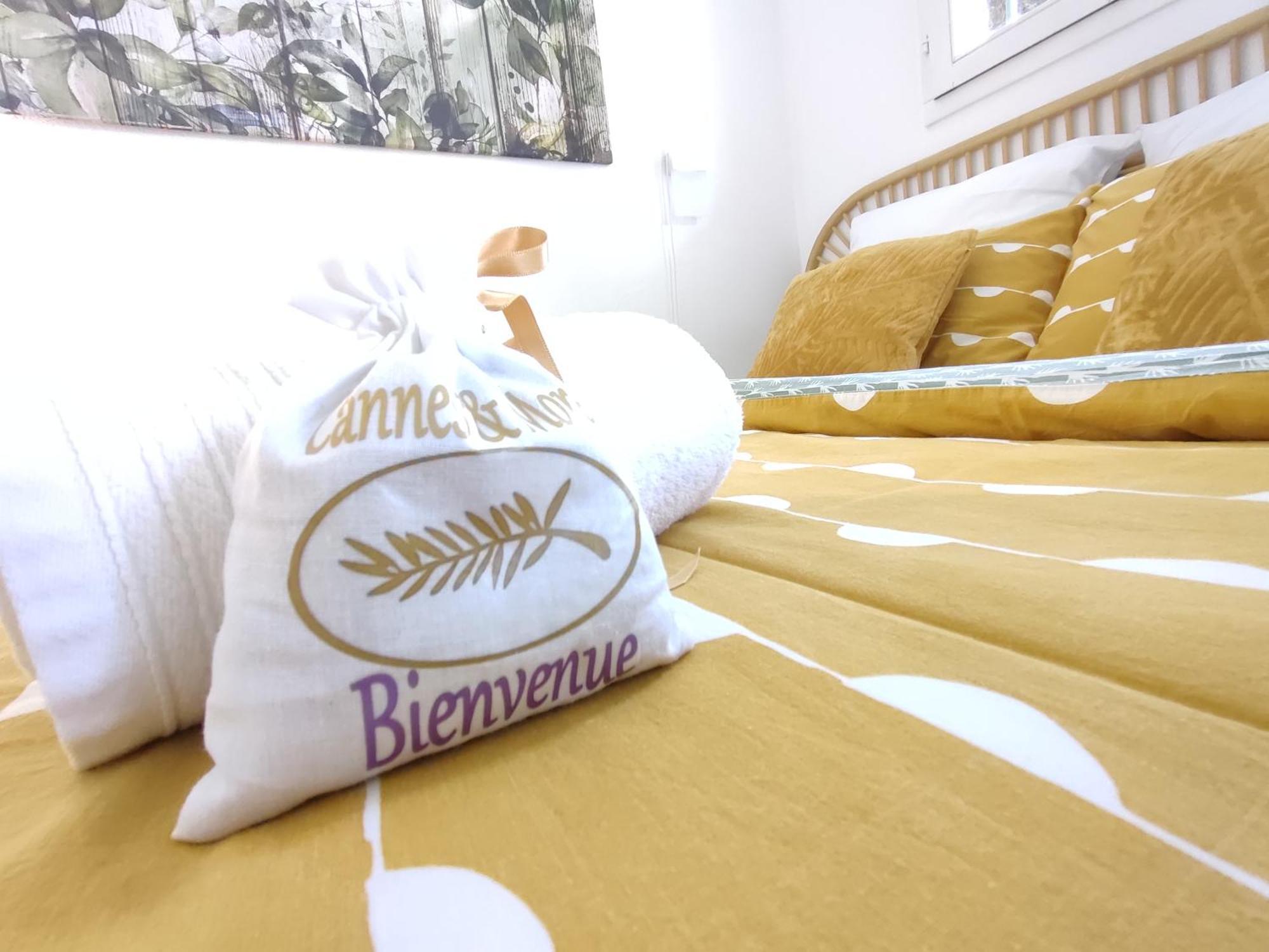 Apartment & Cannes