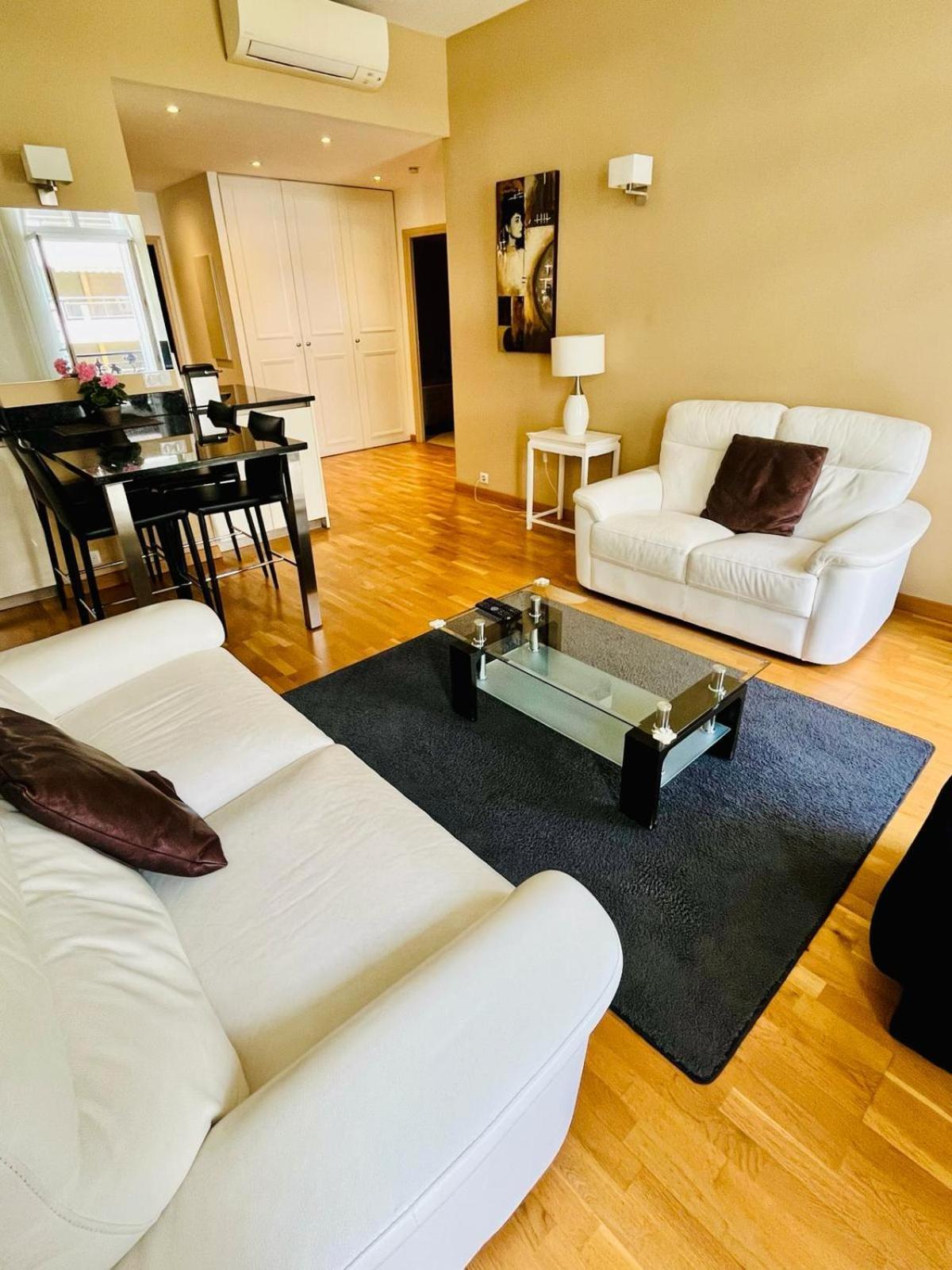 Golden Triangle 2br/2ba Apartment Cannes