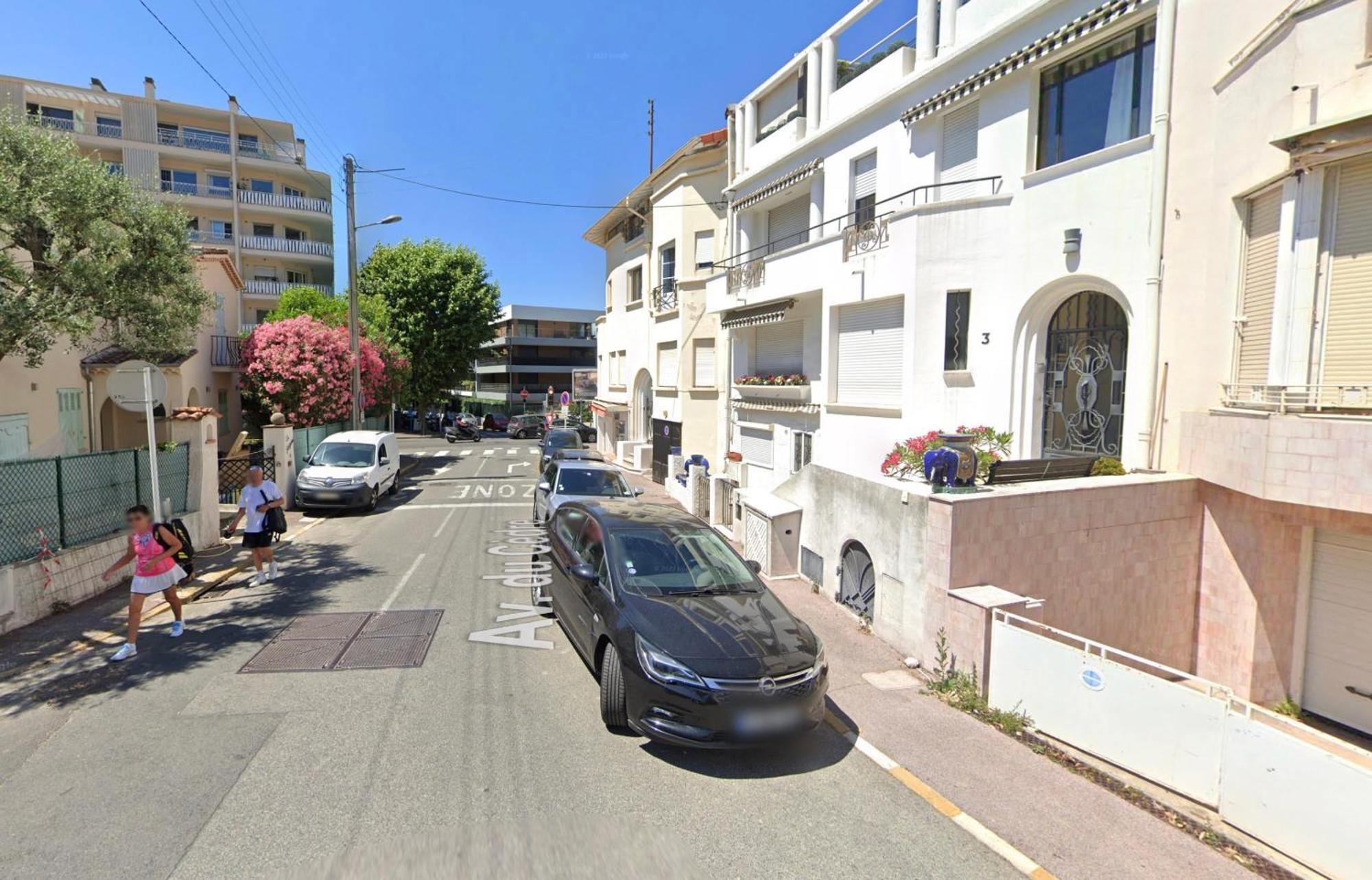 Apartment Les Cedres By Scls Locations *