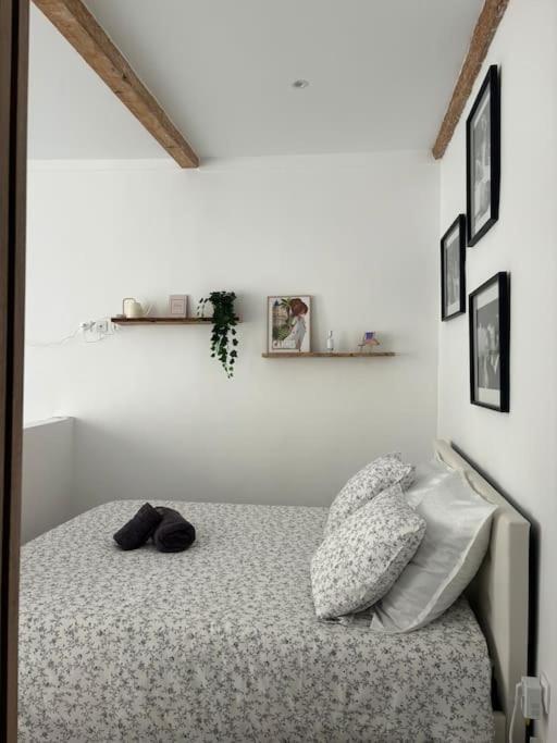 Festival Dreams Apartment