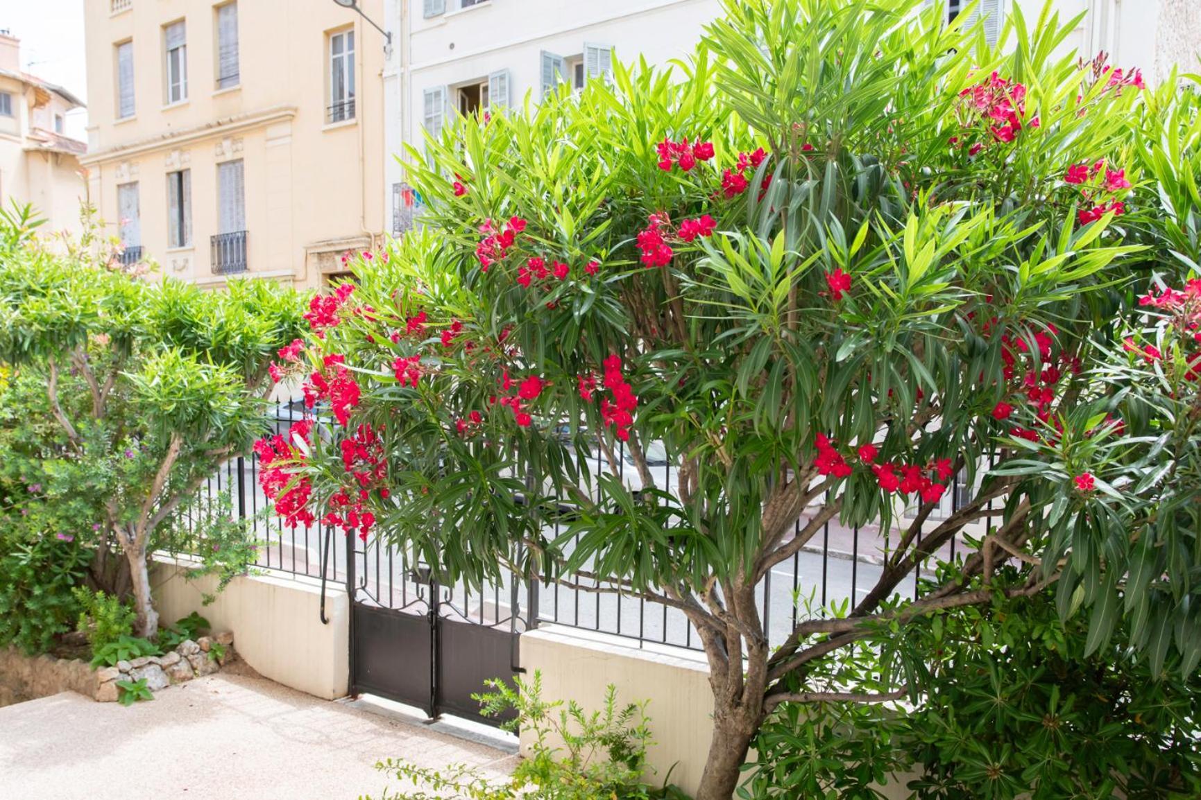 Apartment Holidays - Charmant, Authentique, 3 Chambres, Calme, Palais &