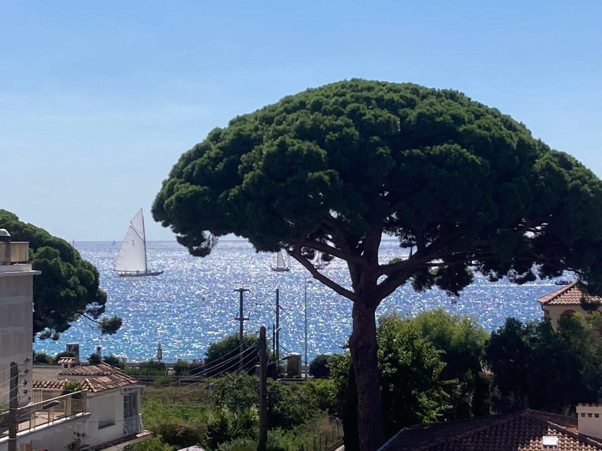 Privatunterkunft Parentale , Salle De Bain Privee, Acces Plages & Vue Du Salon Dans Partage Cannes