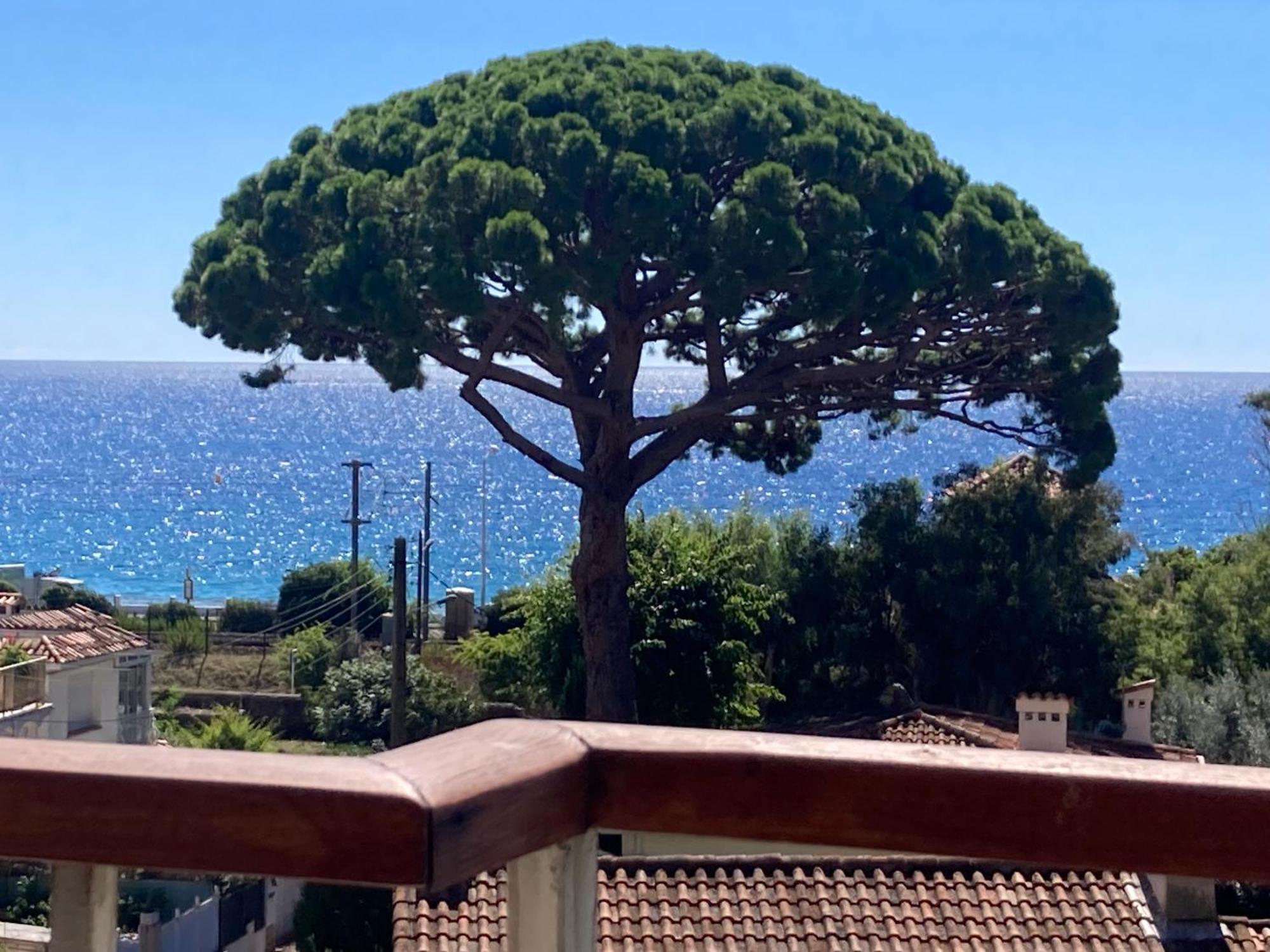Parentale , Salle De Bain Privee, Acces Plages & Vue Du Salon Dans Partage Cannes