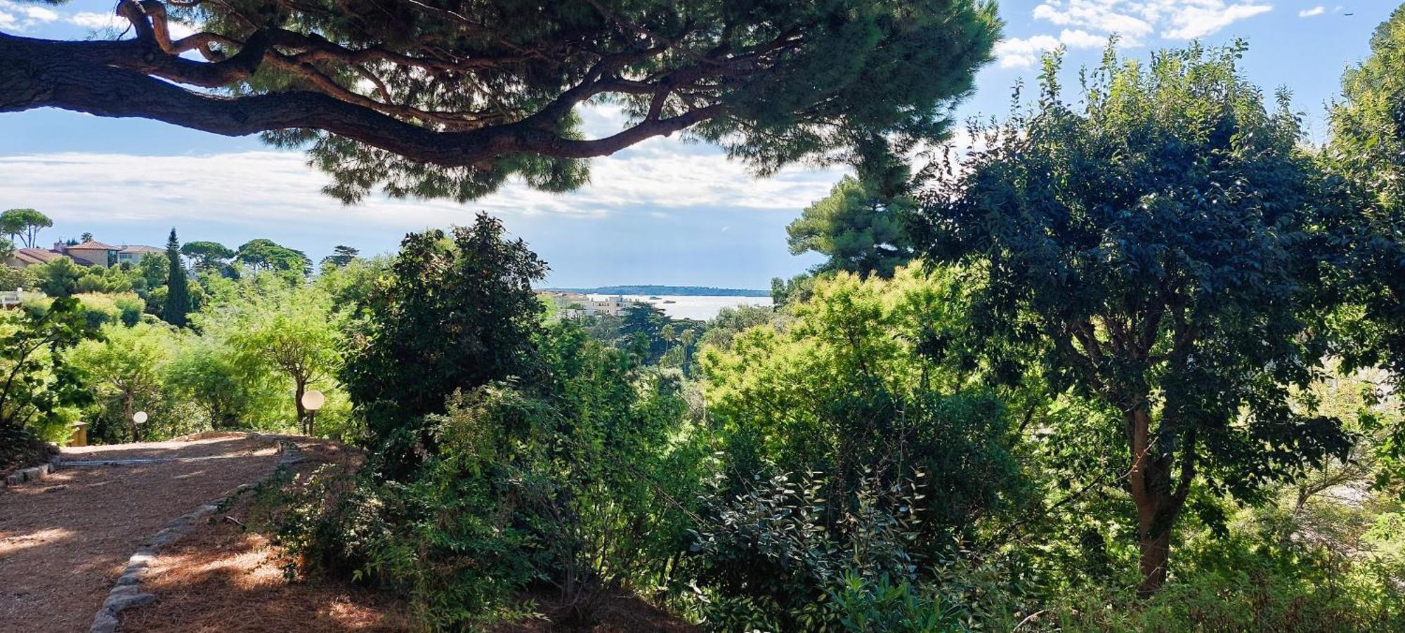 Apartment Les Orangers Sea View Swimming Pool And Parking Cannes