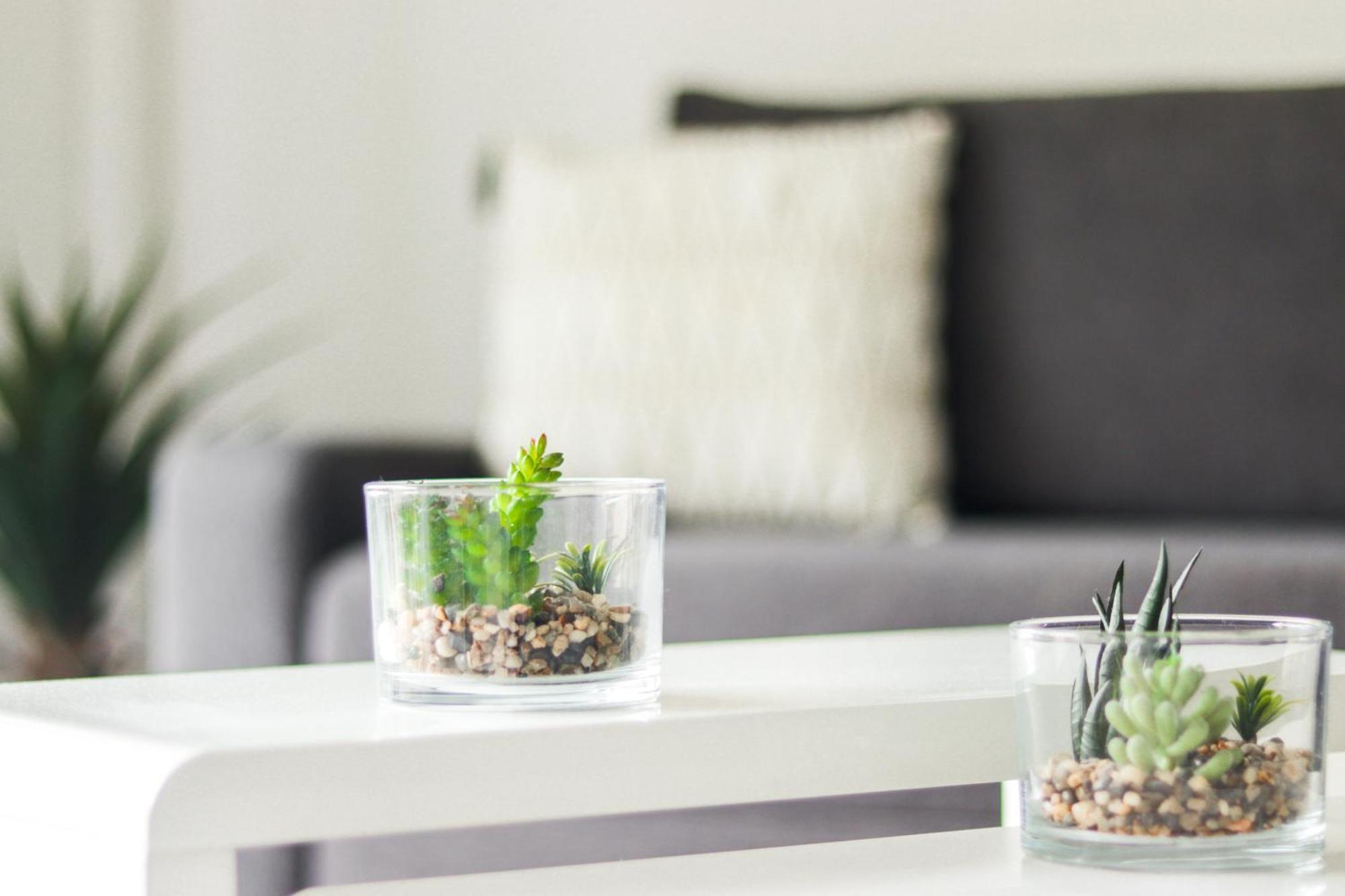 Apartment Cosy A 2 Pas De La Croisette Cannes