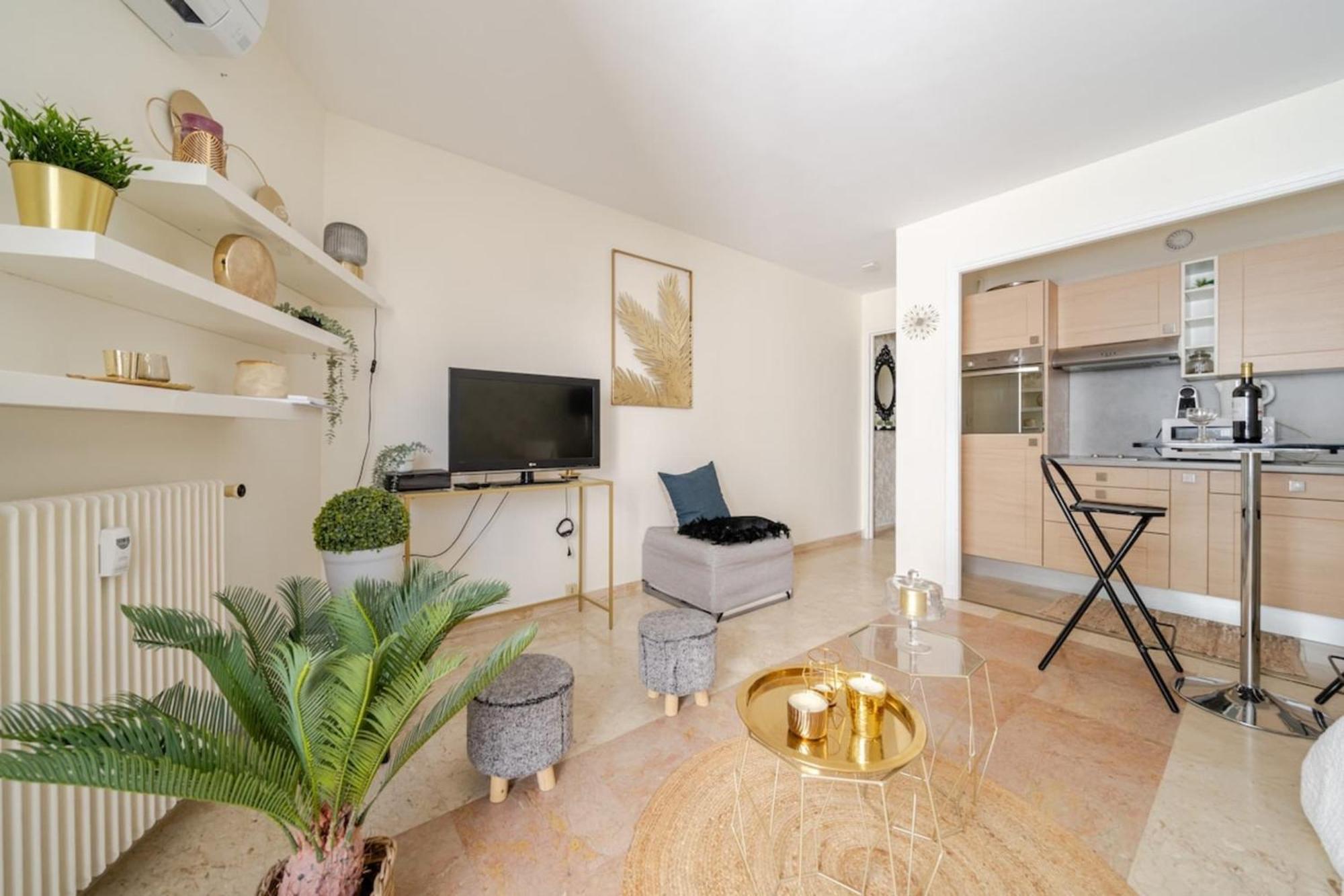 Apartment Croisette 3 Pers Cosy Clim Wifi Pkg