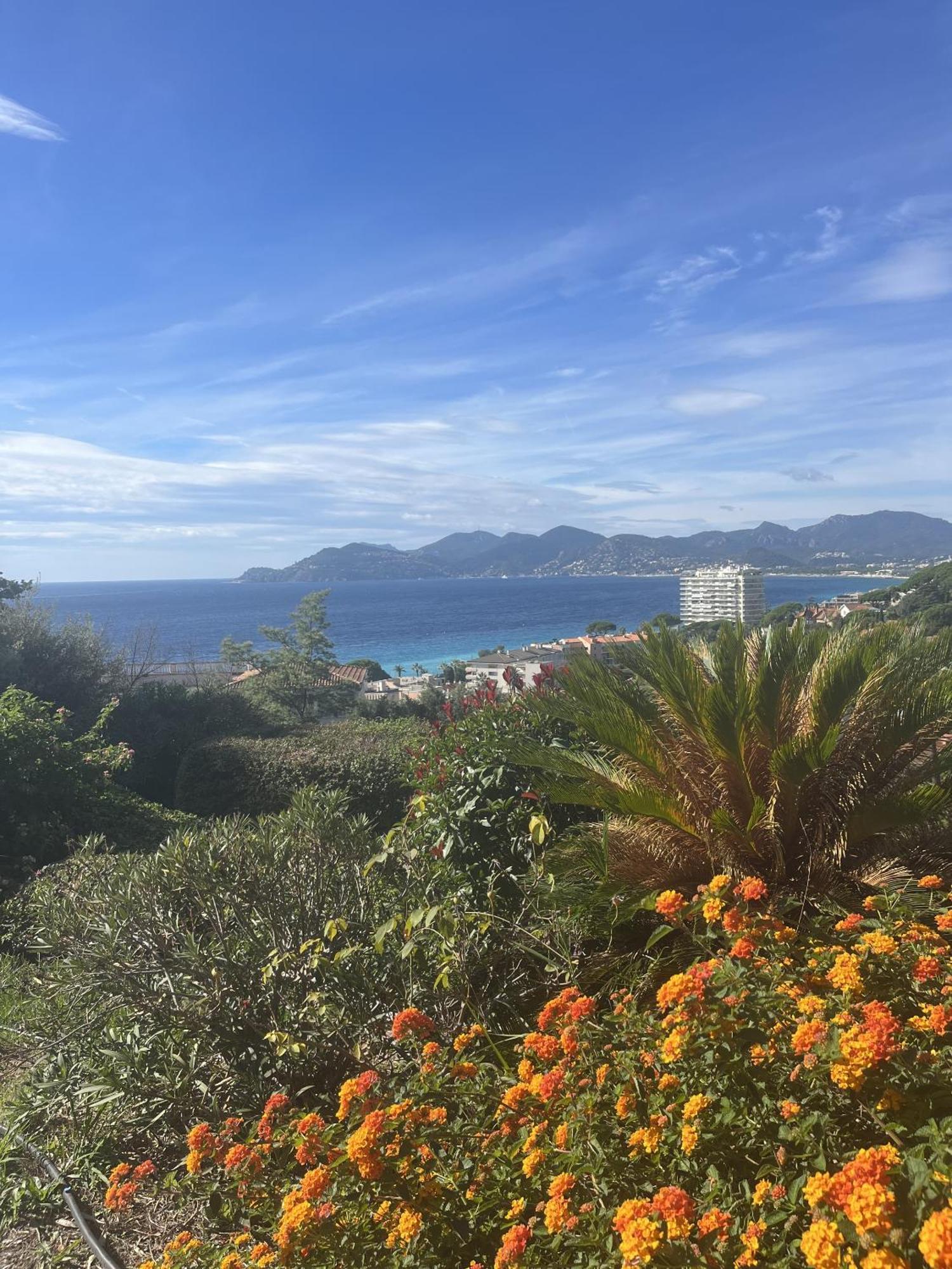 Apartment Le Cannois Cannes