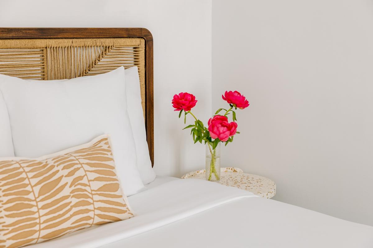 Colette Centre Hotel Cannes