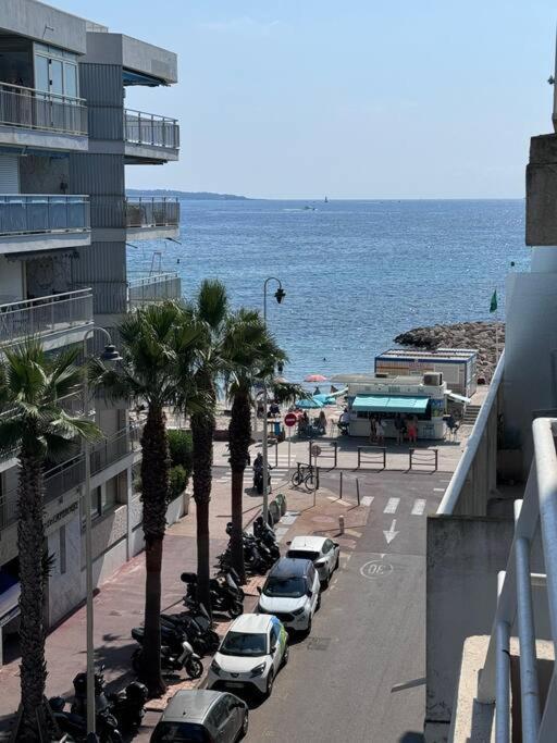 Palm - 2 Vue * Cannes