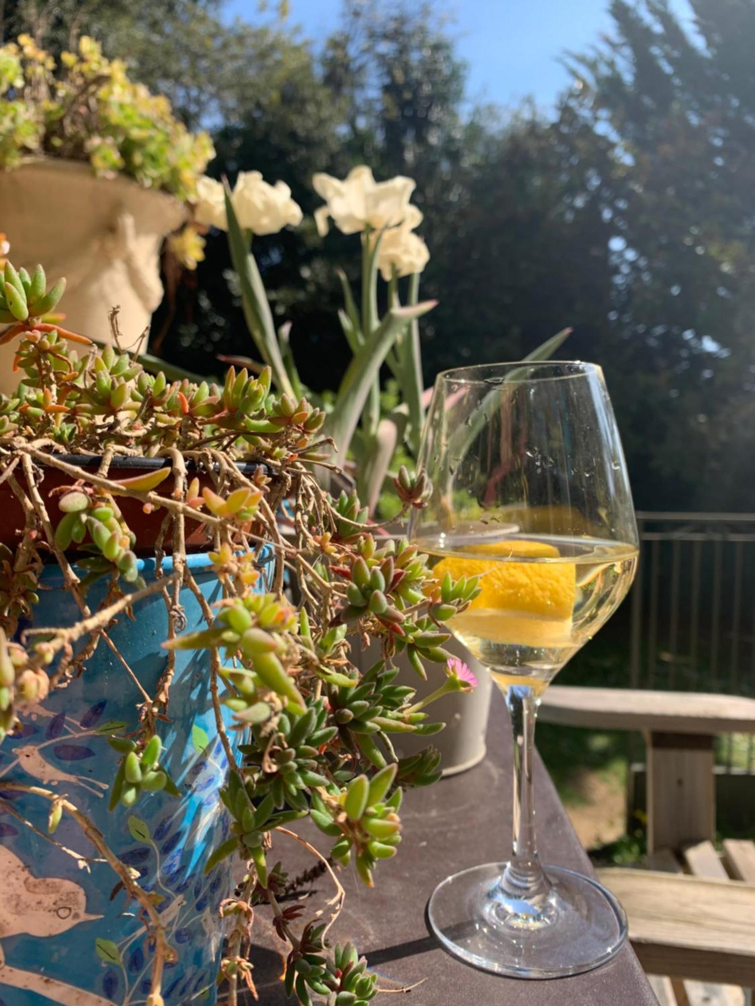 Bed & Breakfast Valbois Cannes